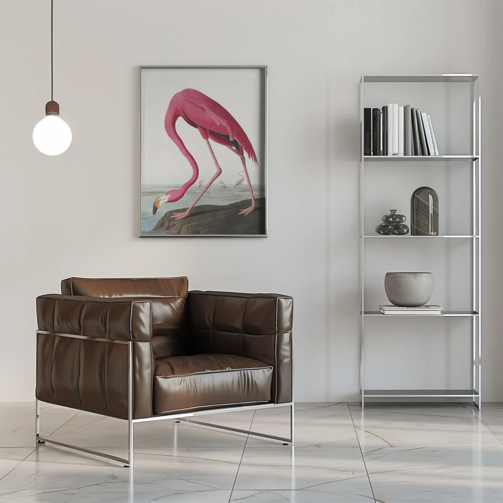 Pink Flamingo Ii From Birds of America (1827) - Image 8