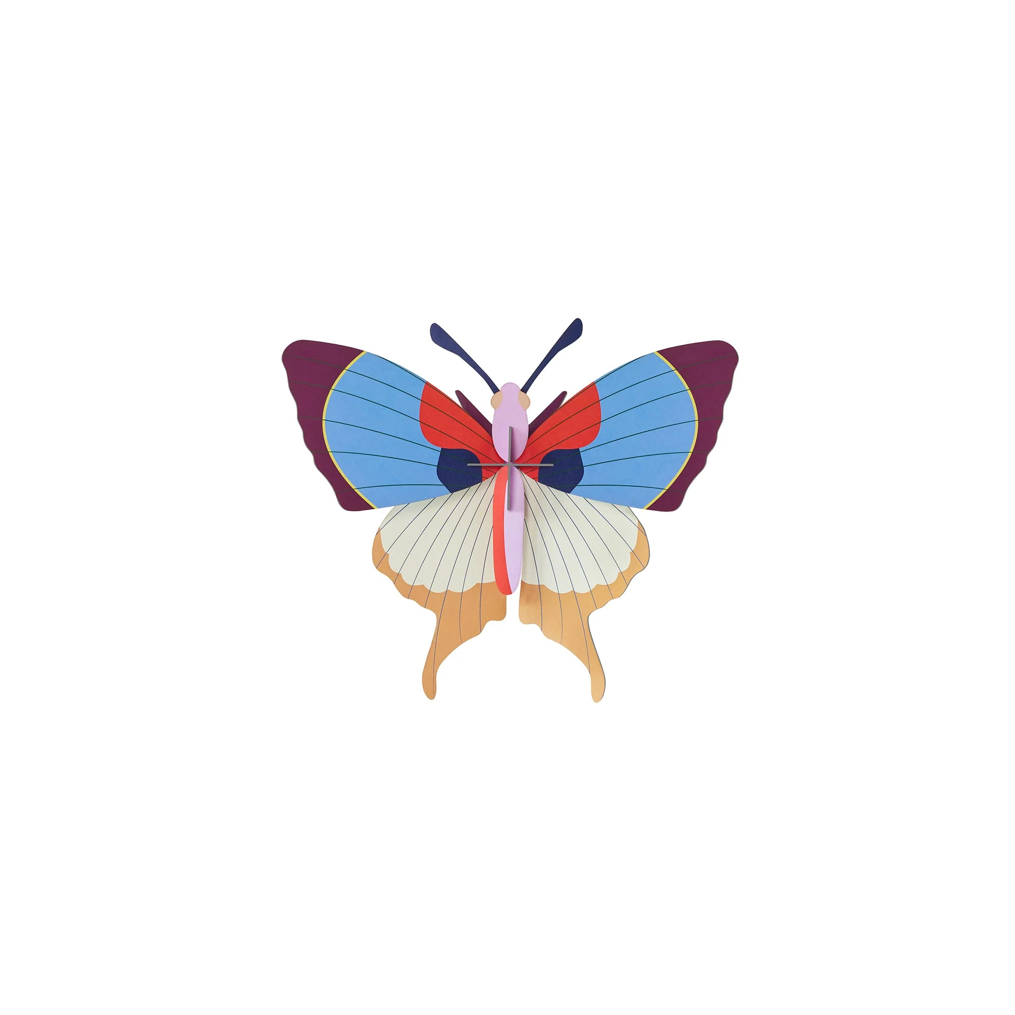 Plum Fringe Butterfly - Image 8