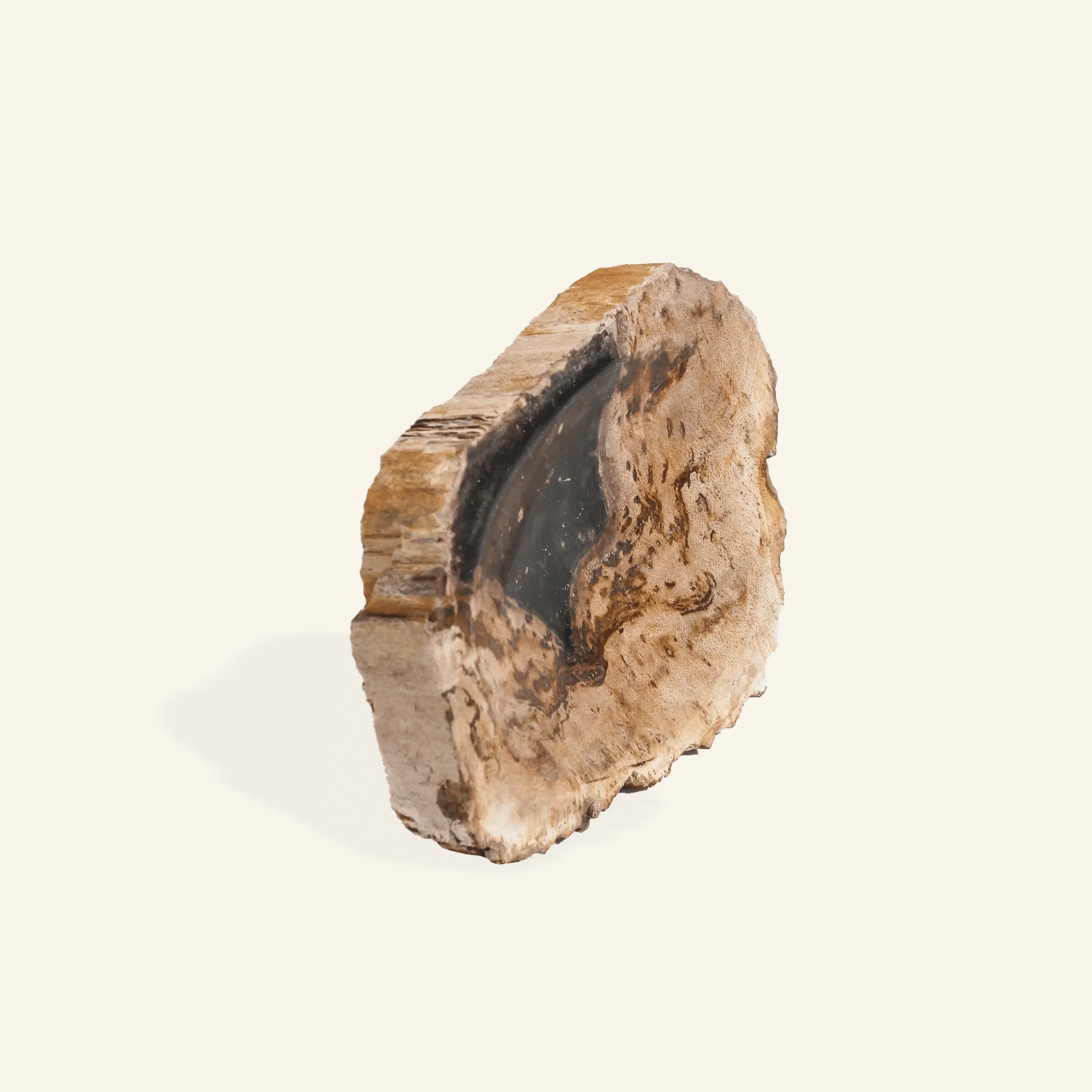 Porte savon en bois pétrifié - Image 2