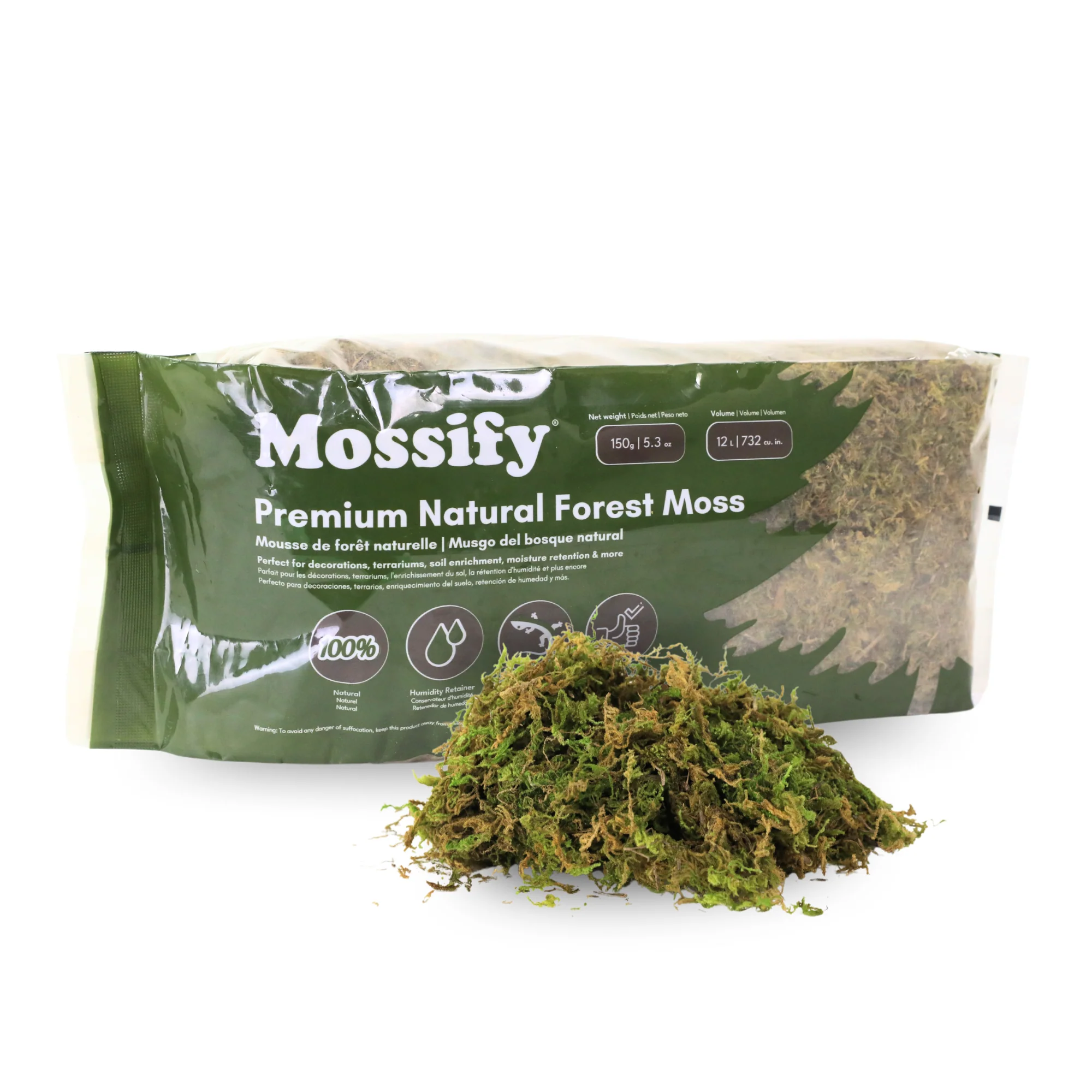 Premium Natural Forest Moss - Image 4