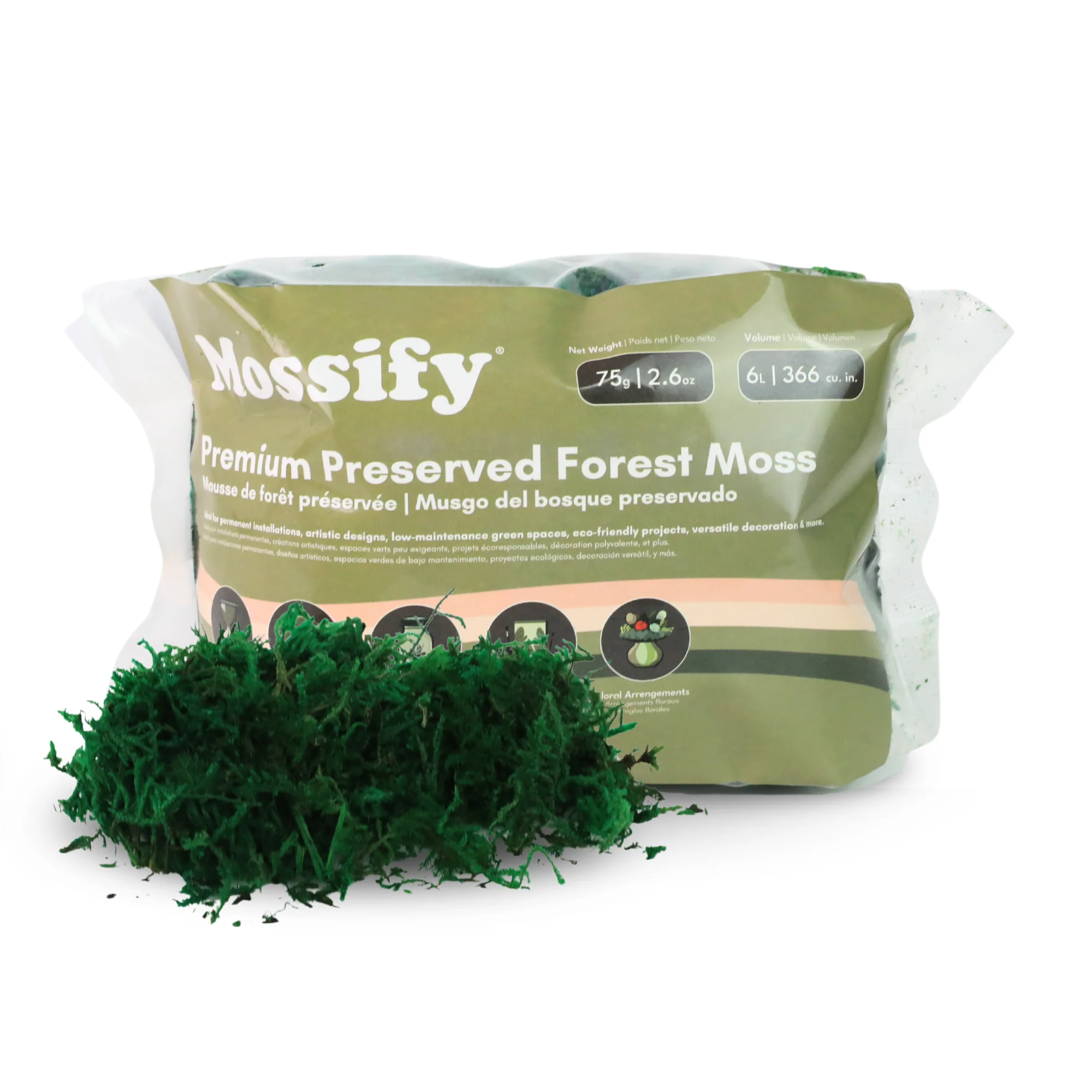 Premium Preserved Forest Moss - Image 7