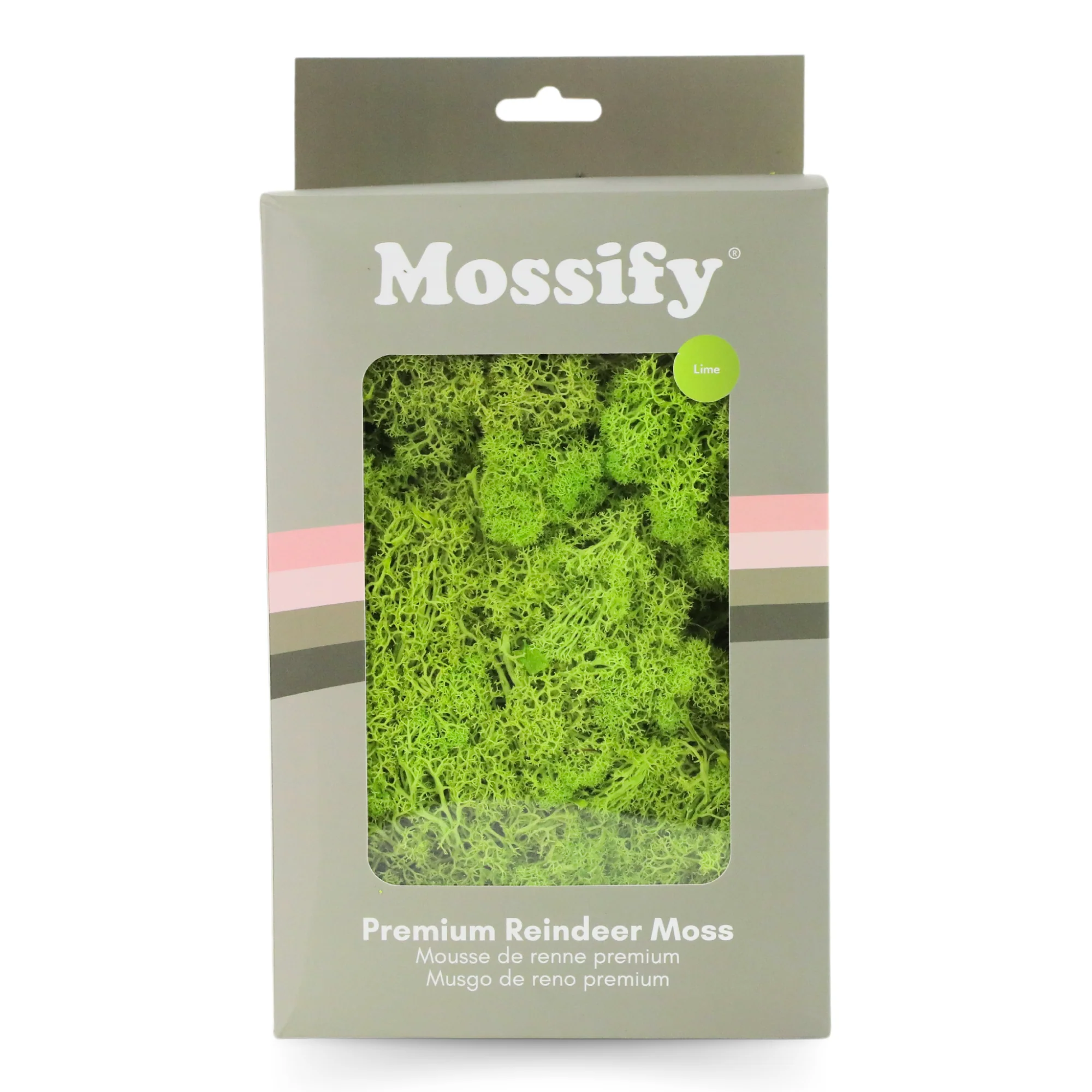 Premium Preserved Reindeer Moss - Image 10