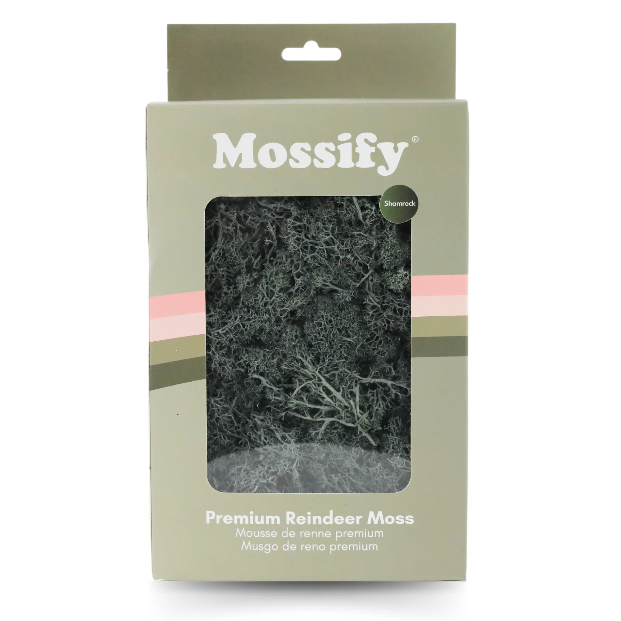 Premium Preserved Reindeer Moss - Image 11