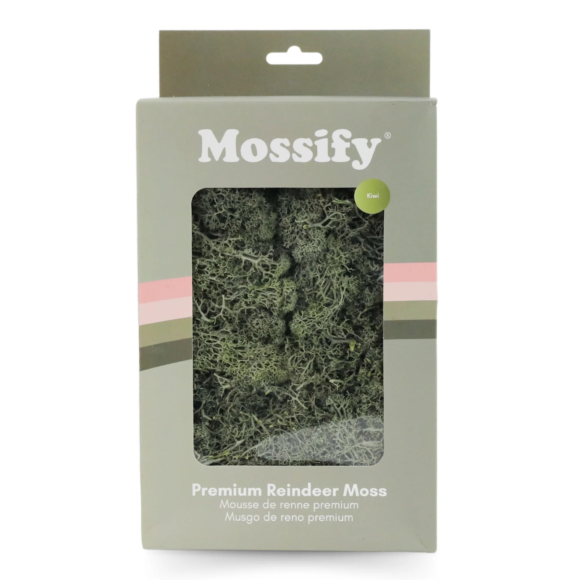 Premium Preserved Reindeer Moss - Image 12
