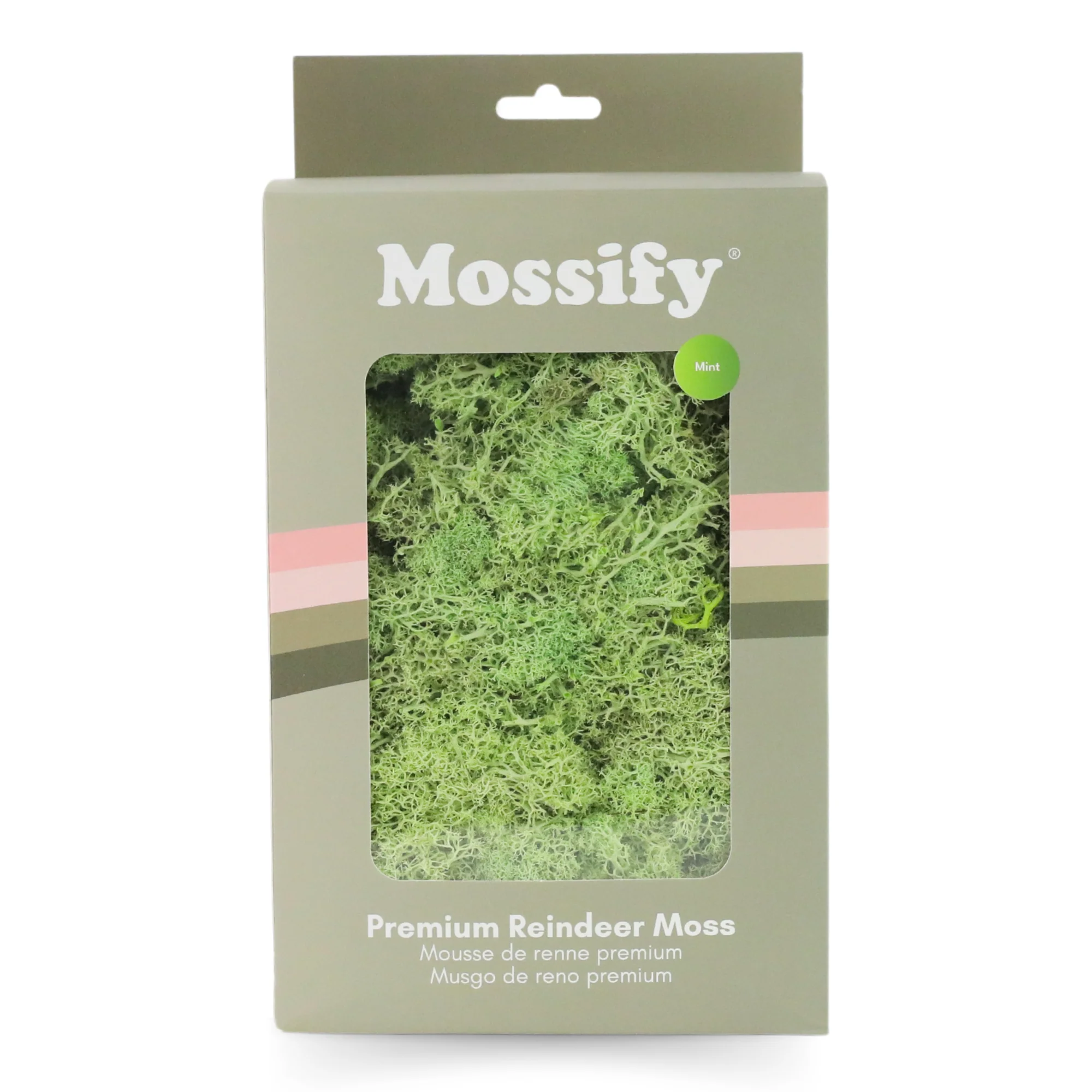 Premium Preserved Reindeer Moss - Image 13