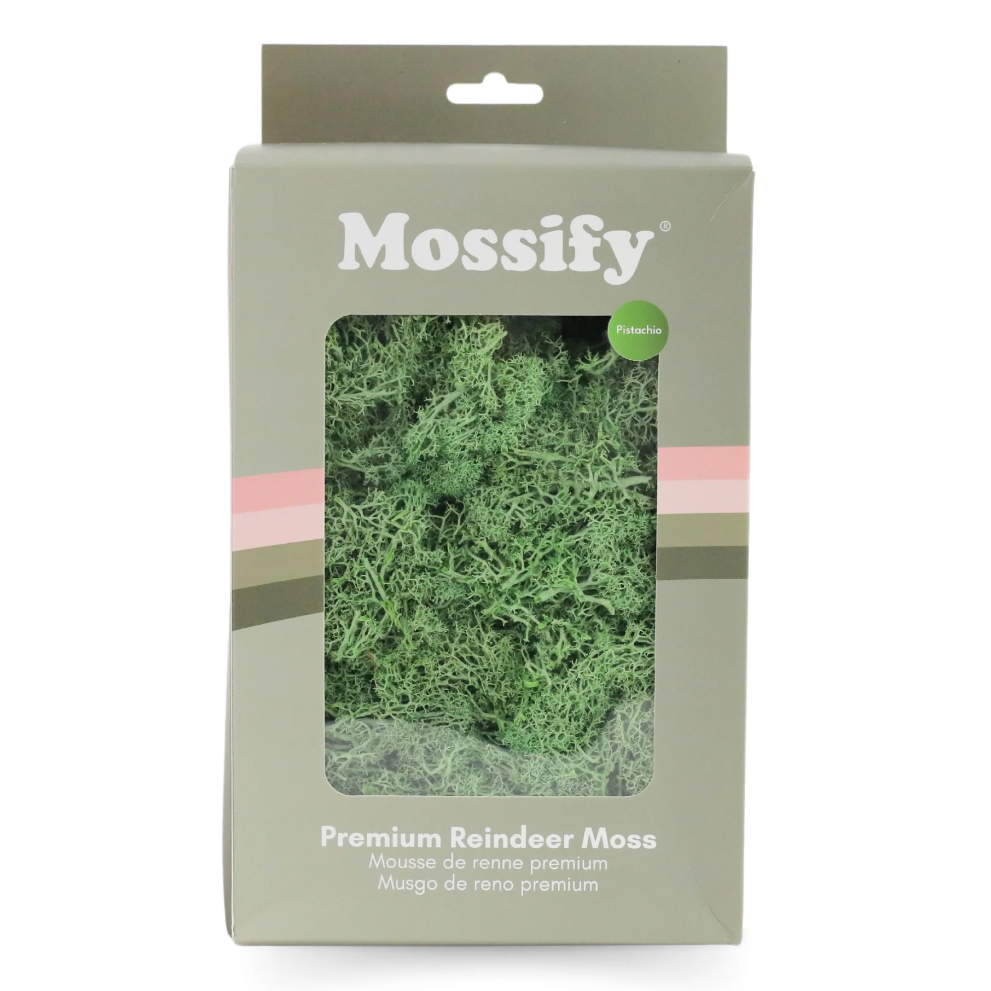 Premium Preserved Reindeer Moss - Image 14