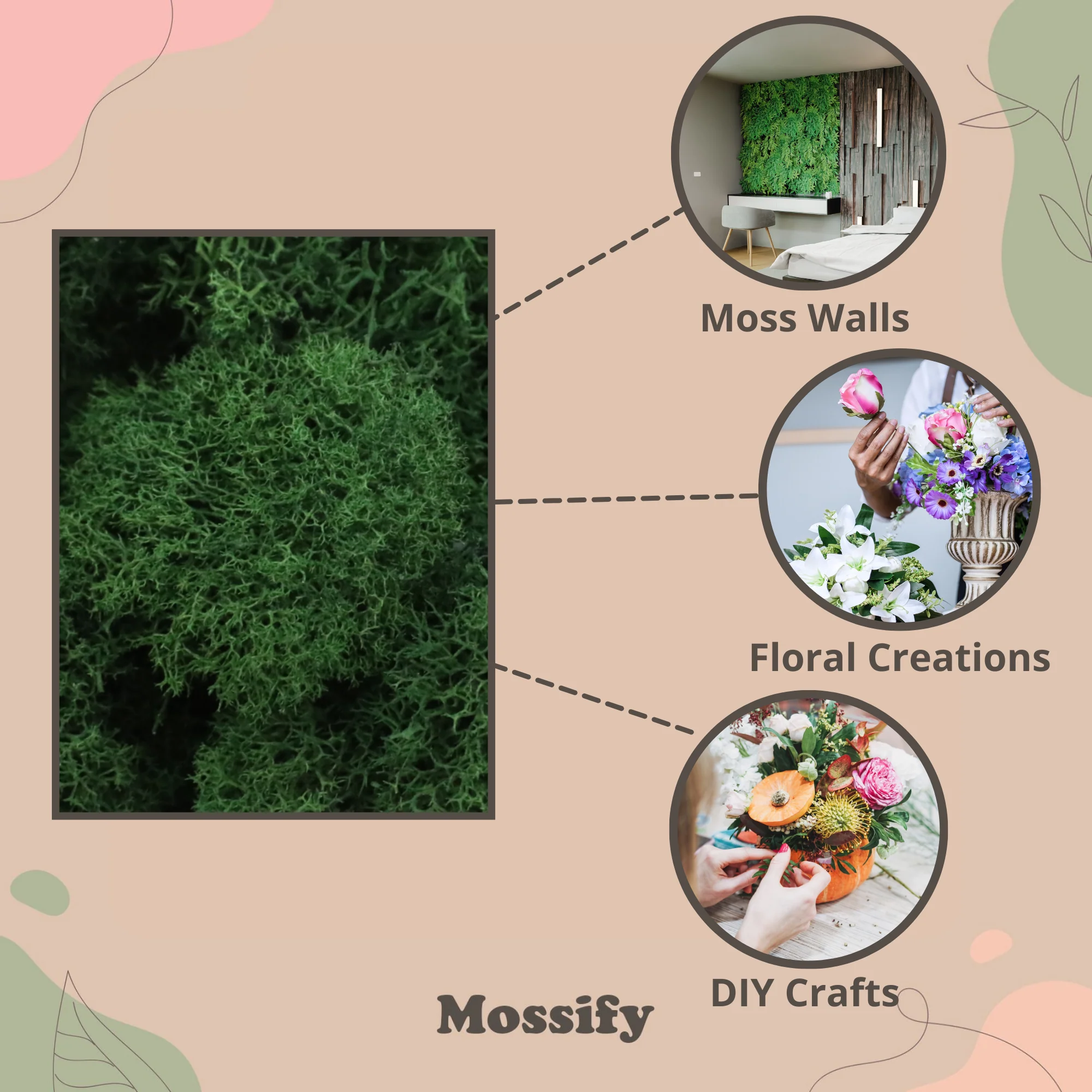 Premium Preserved Reindeer Moss - Image 15