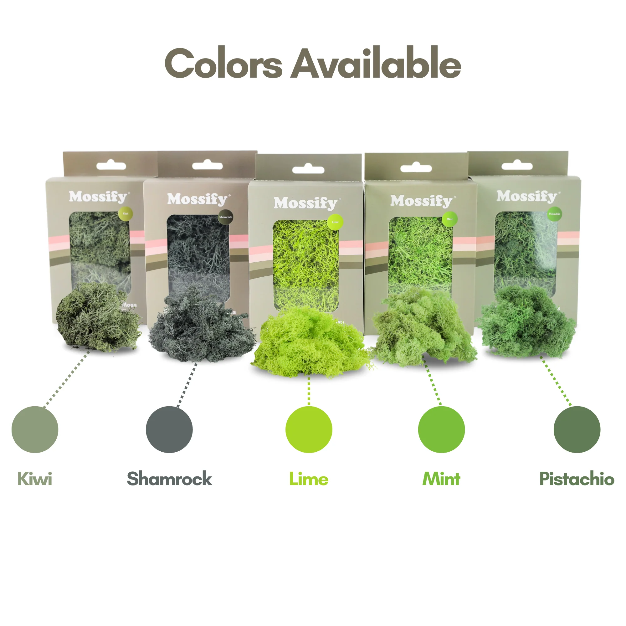Premium Preserved Reindeer Moss - Image 4
