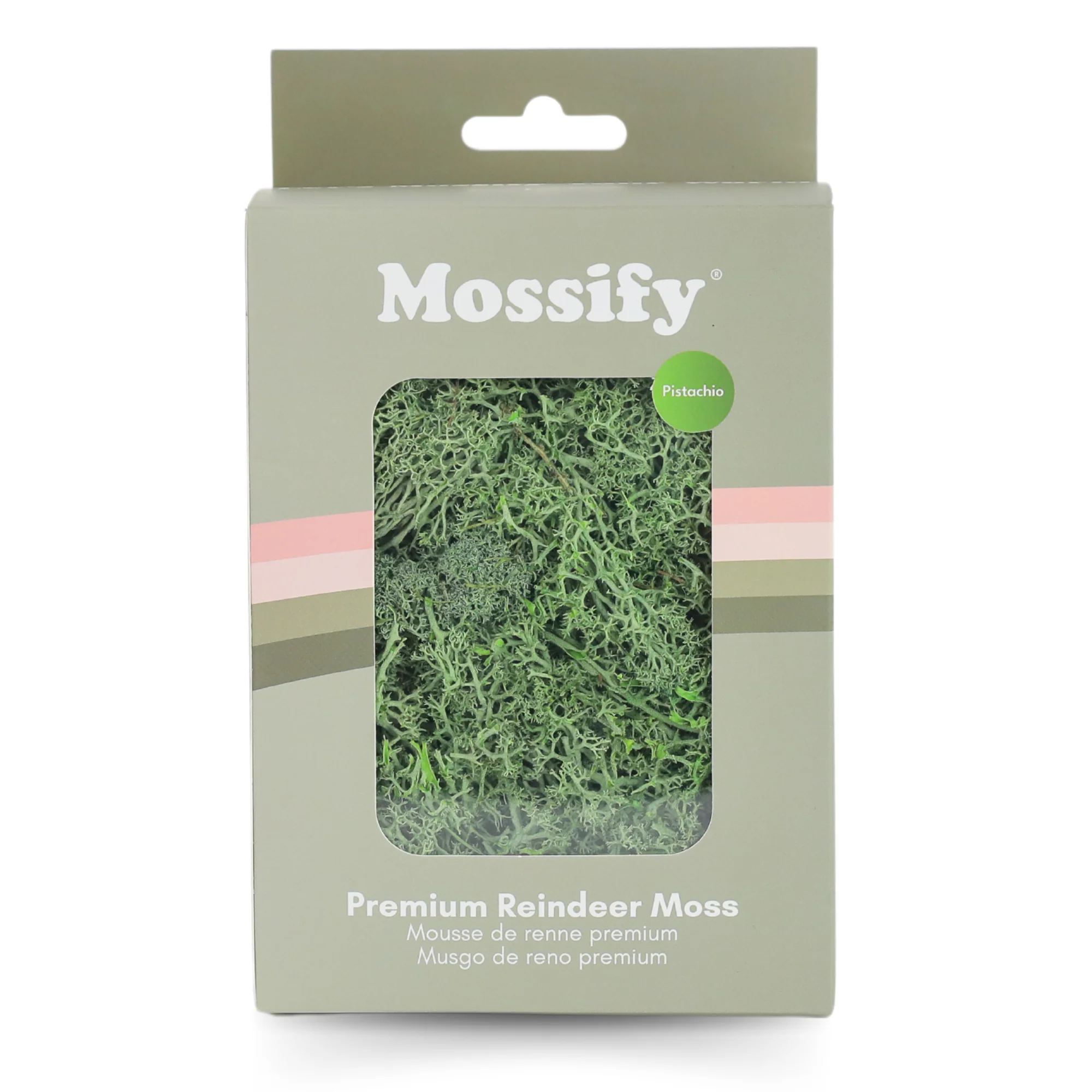 Premium Preserved Reindeer Moss - Image 5