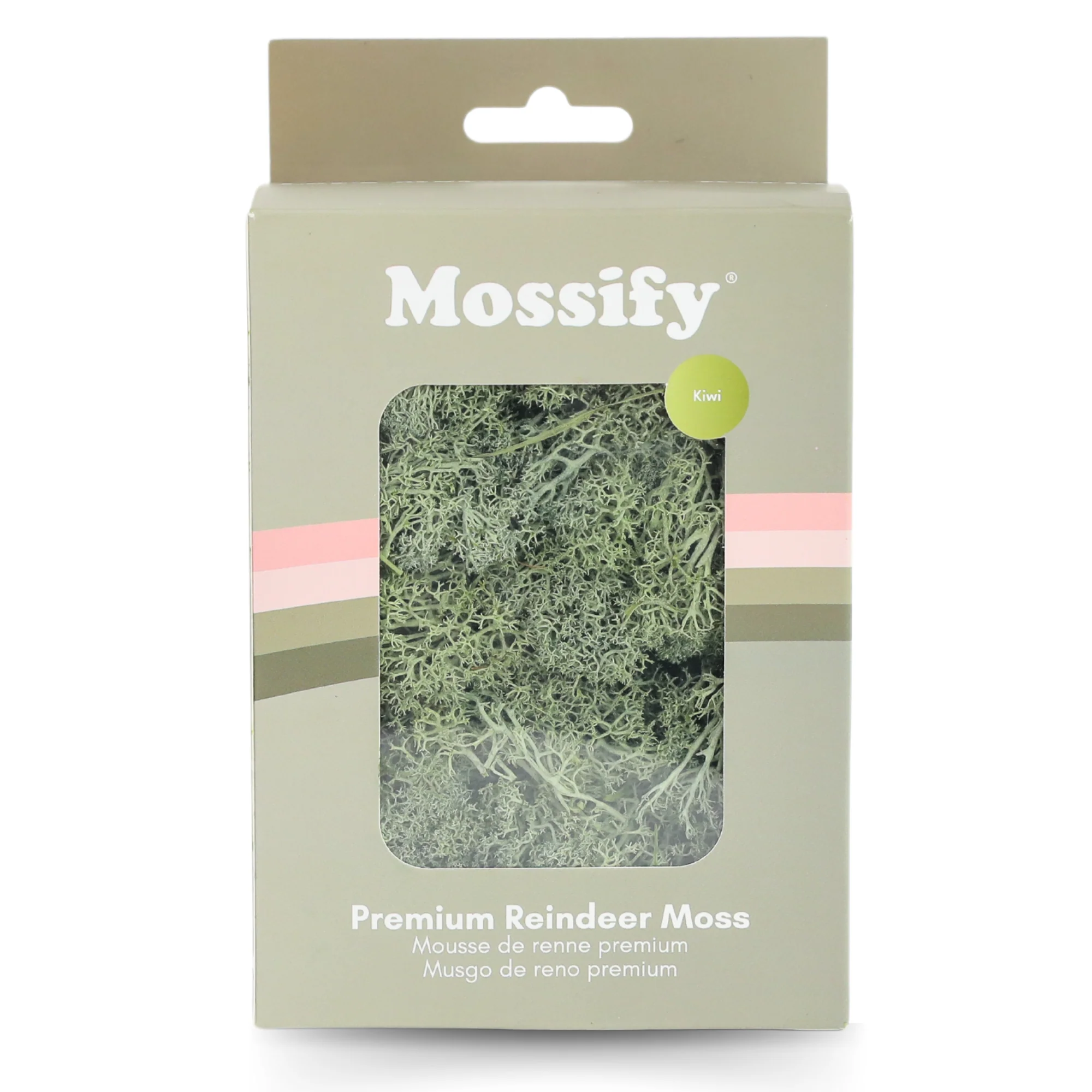 Premium Preserved Reindeer Moss - Image 6