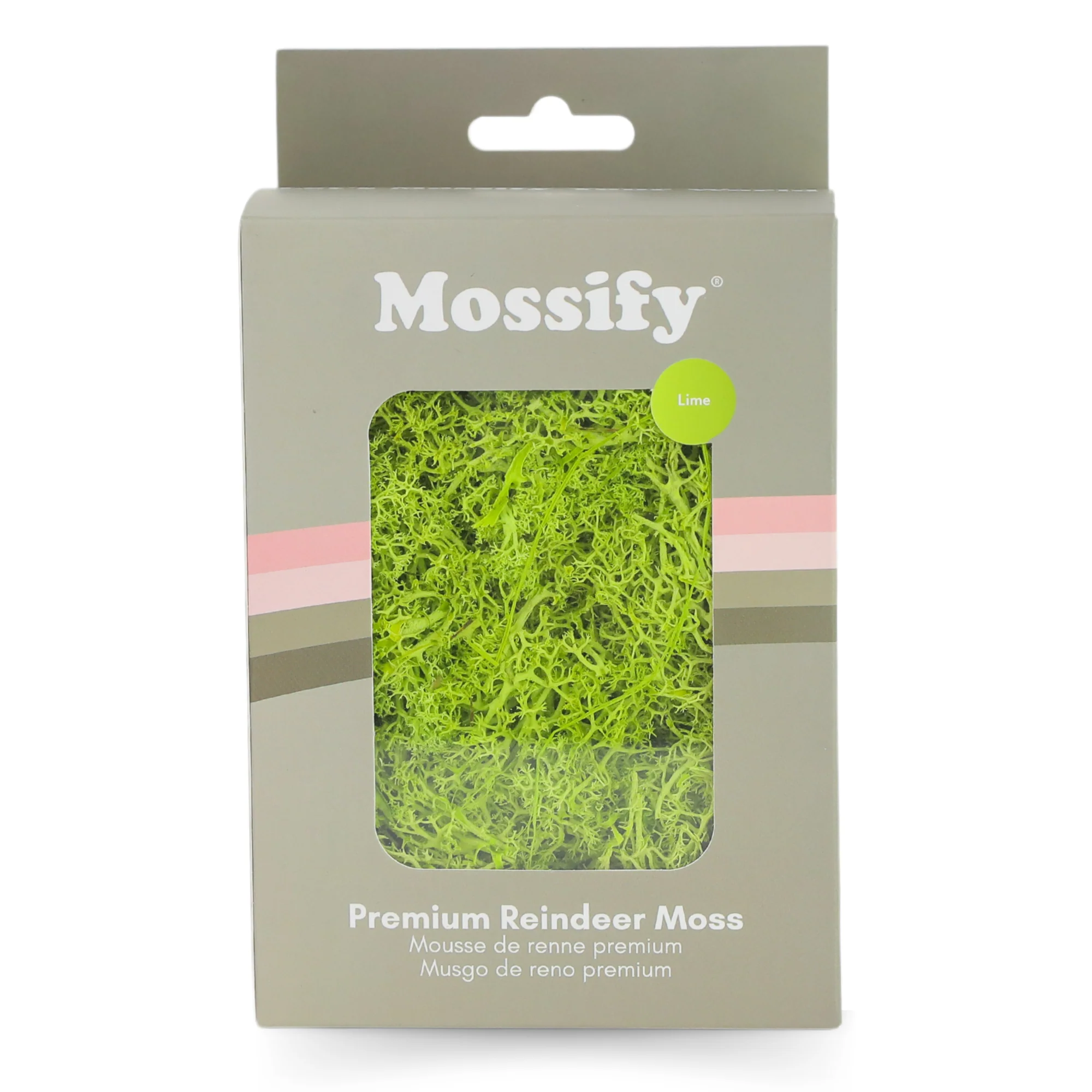 Premium Preserved Reindeer Moss - Image 7