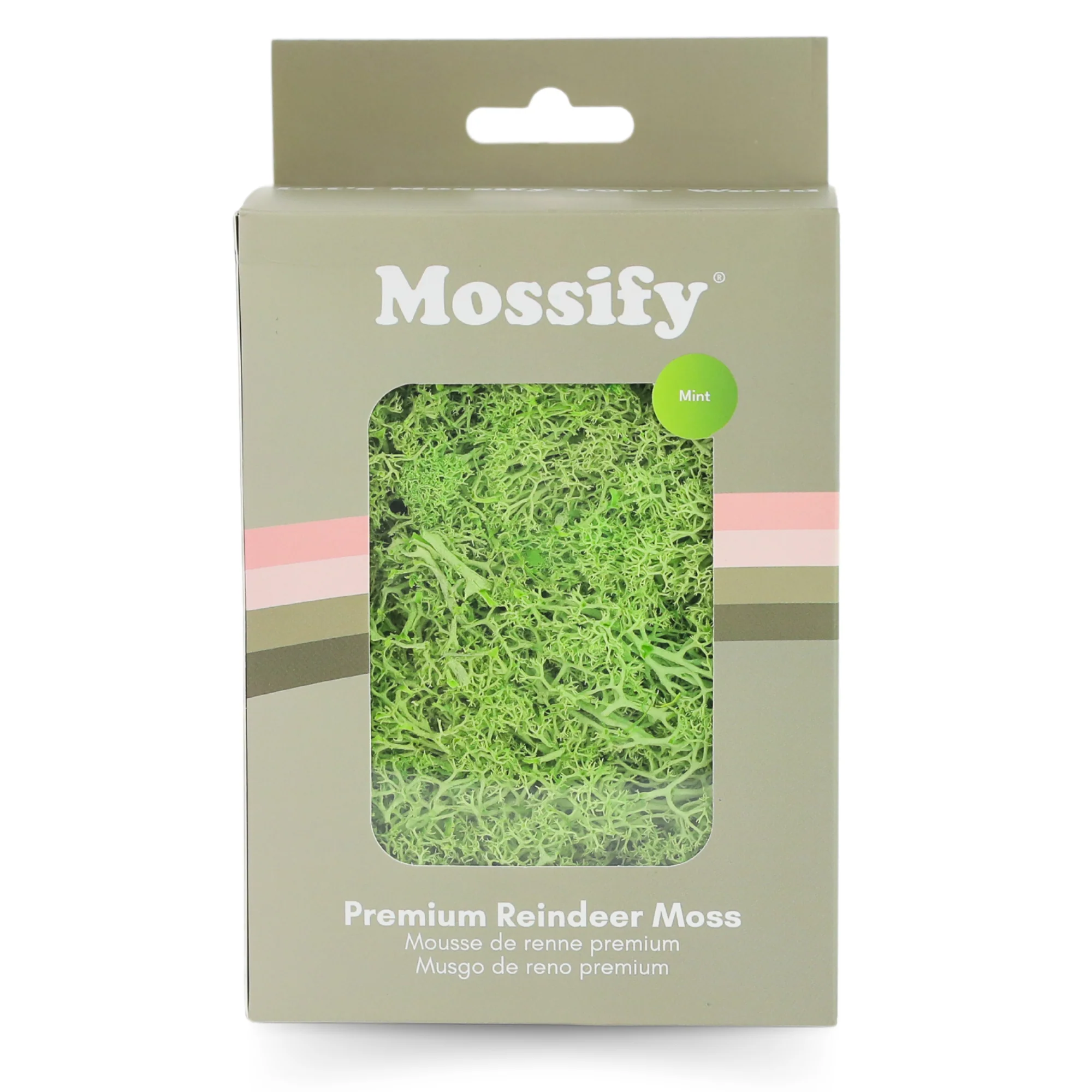 Premium Preserved Reindeer Moss - Image 8