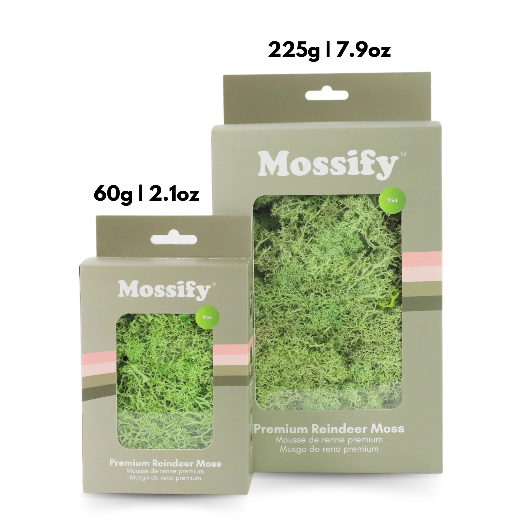 Premium Preserved Reindeer Moss - Image 9