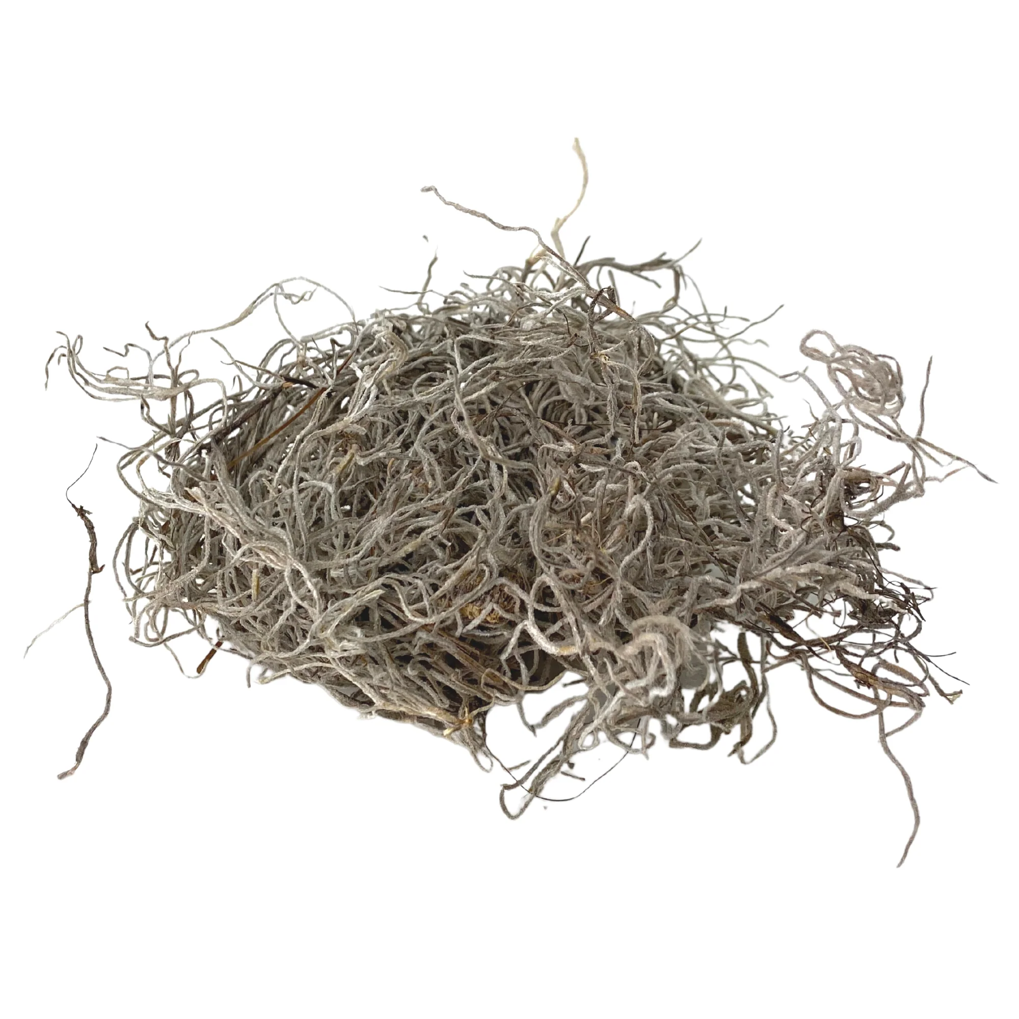 Premium Spanish Moss - Image 10