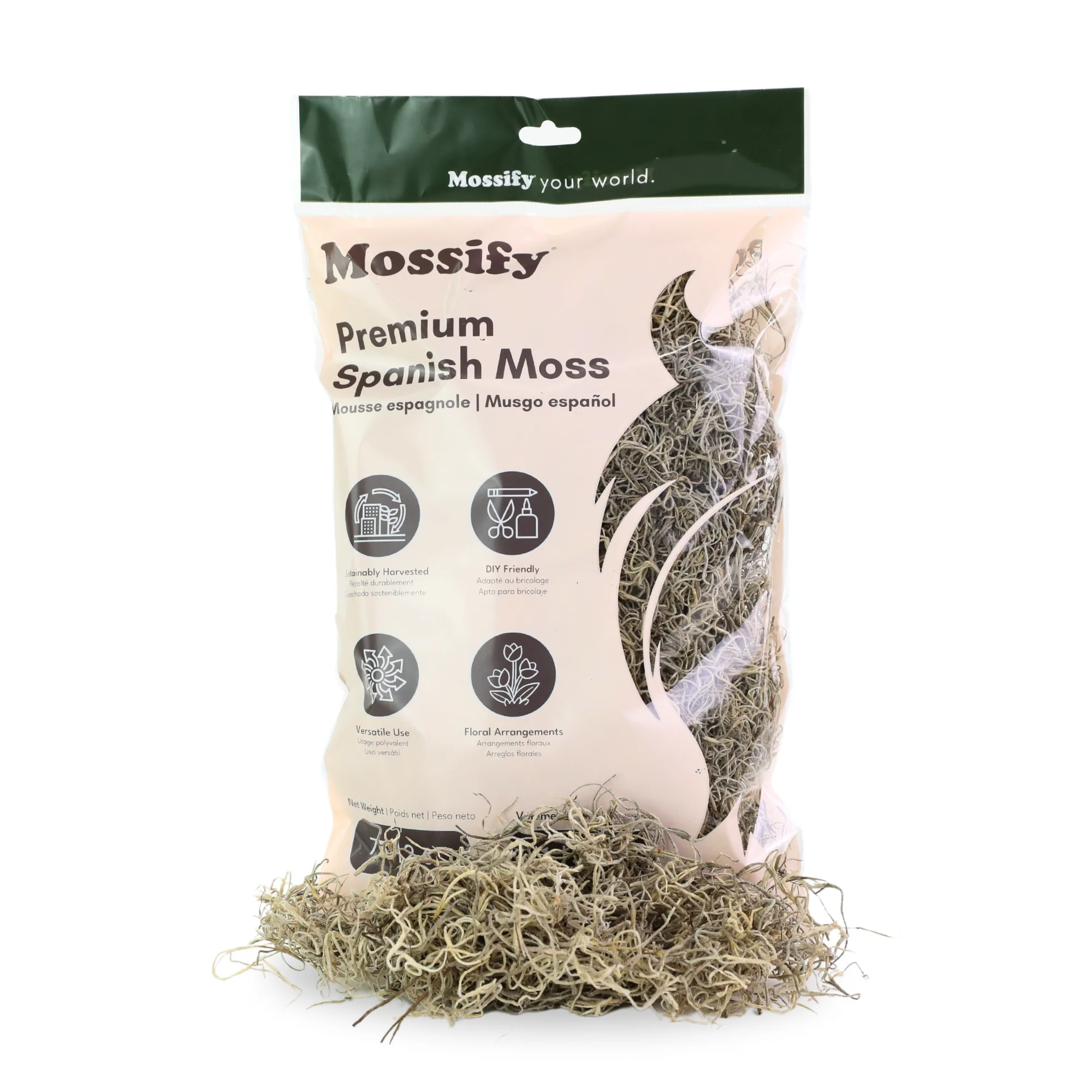 Premium Spanish Moss - Image 3
