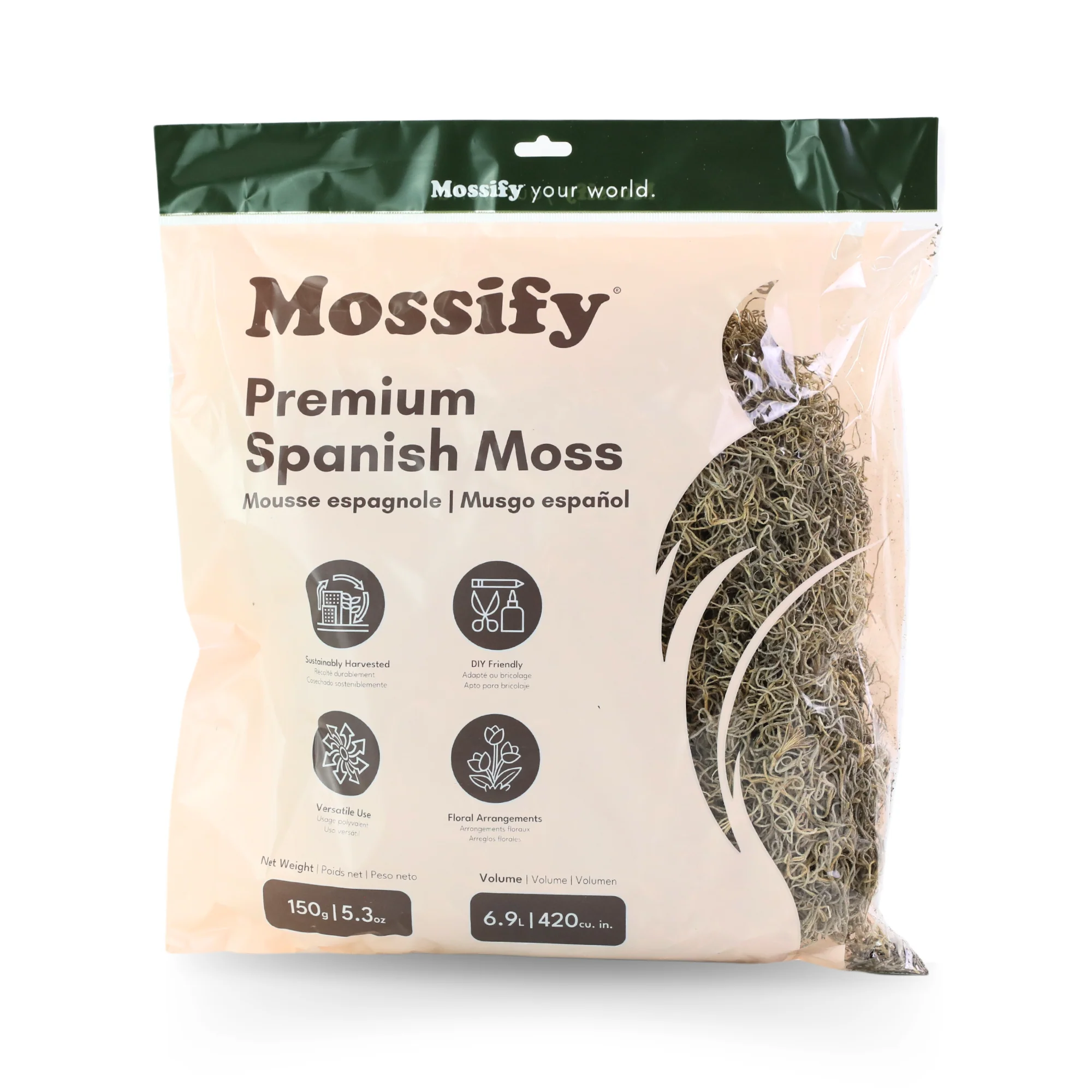 Premium Spanish Moss - Image 4