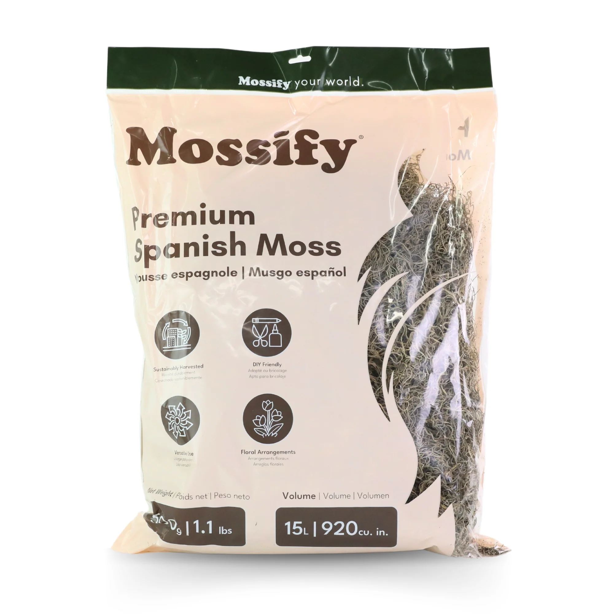Premium Spanish Moss - Image 5