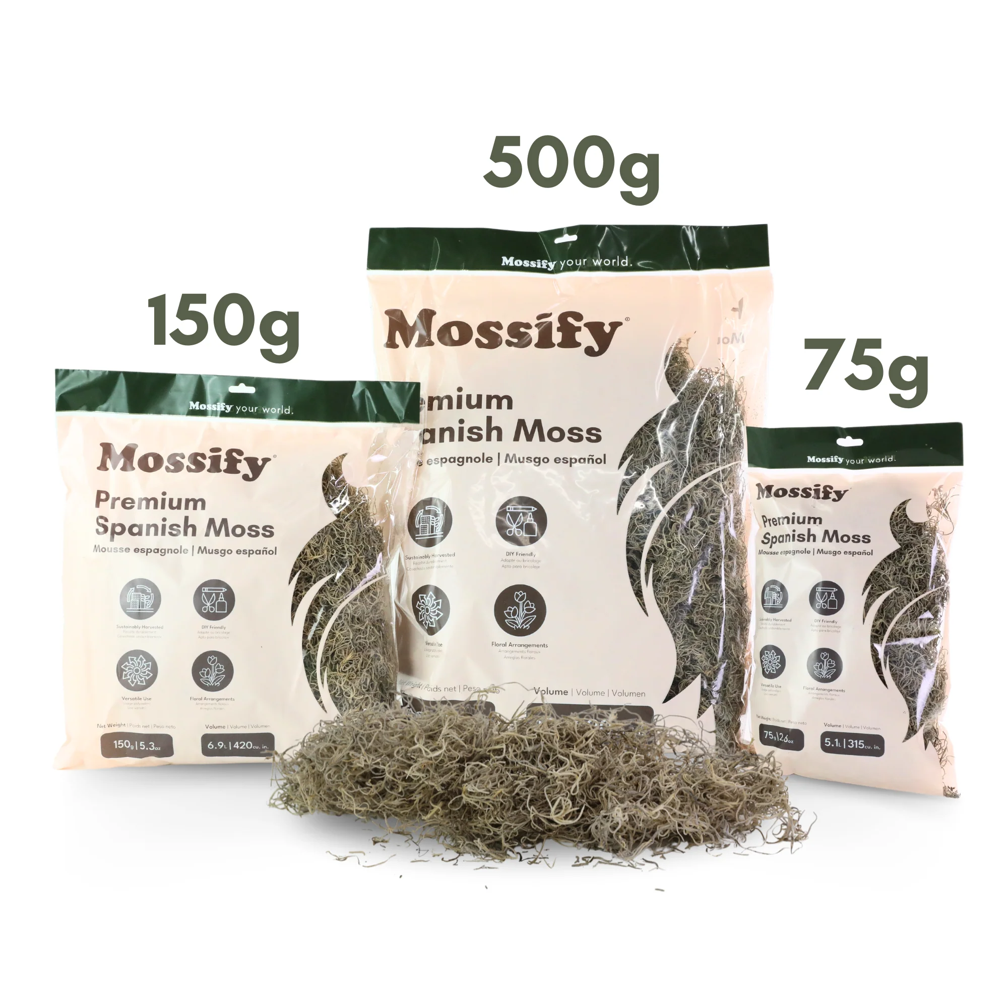 Premium Spanish Moss - Image 6