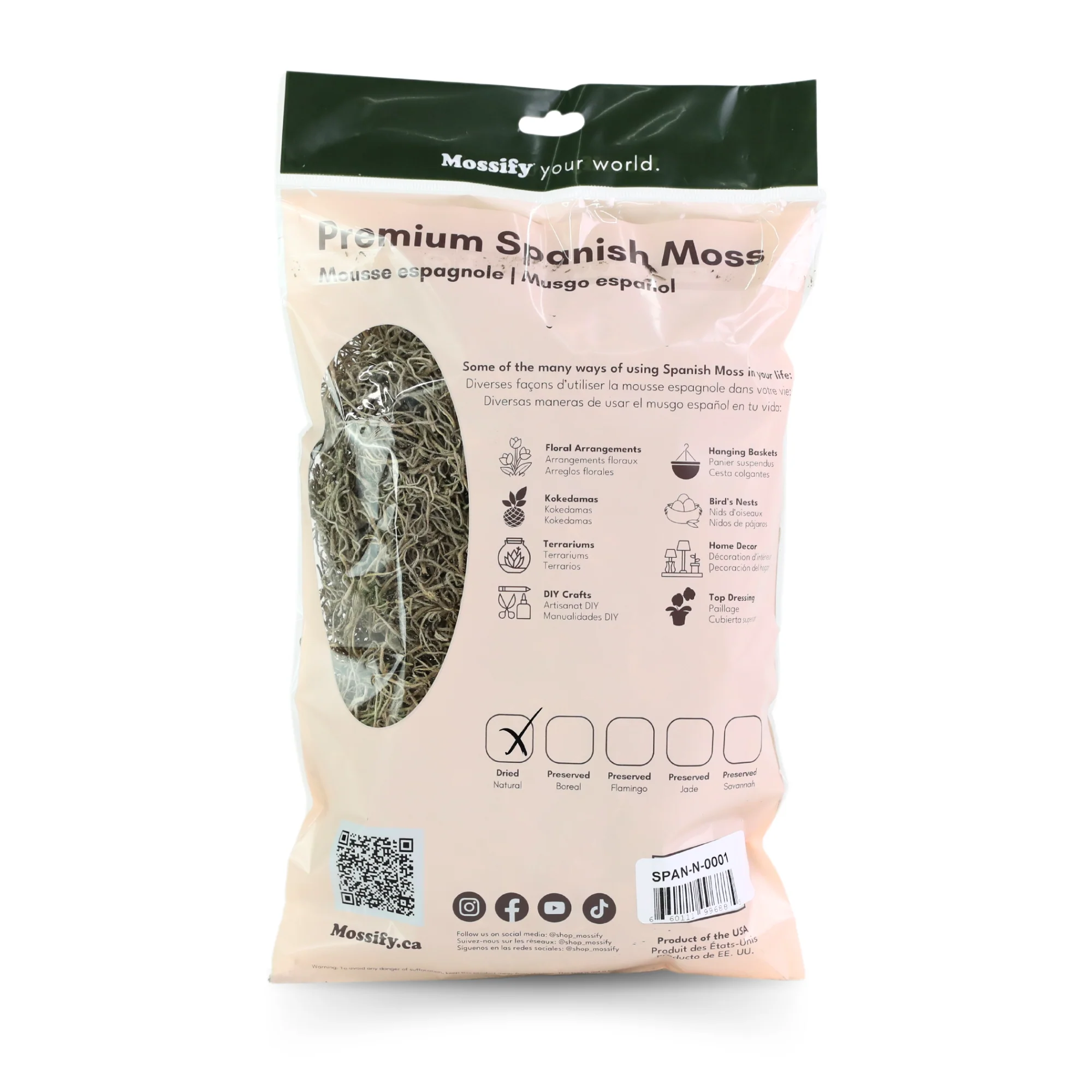 Premium Spanish Moss - Image 7
