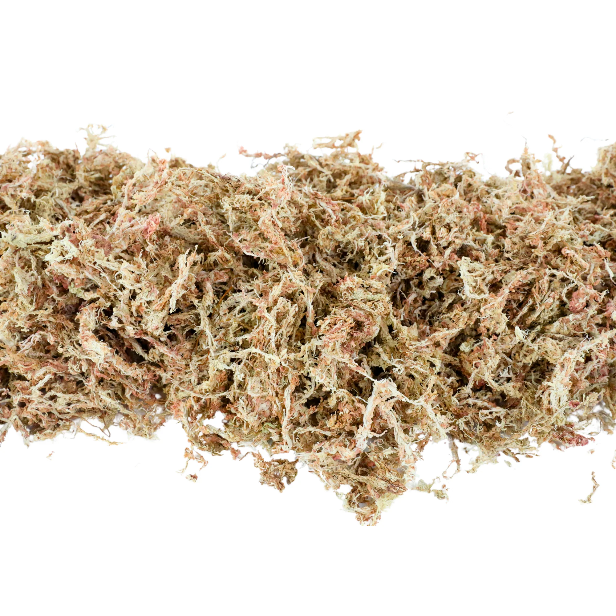 Premium Sphagnum Moss - Image 3