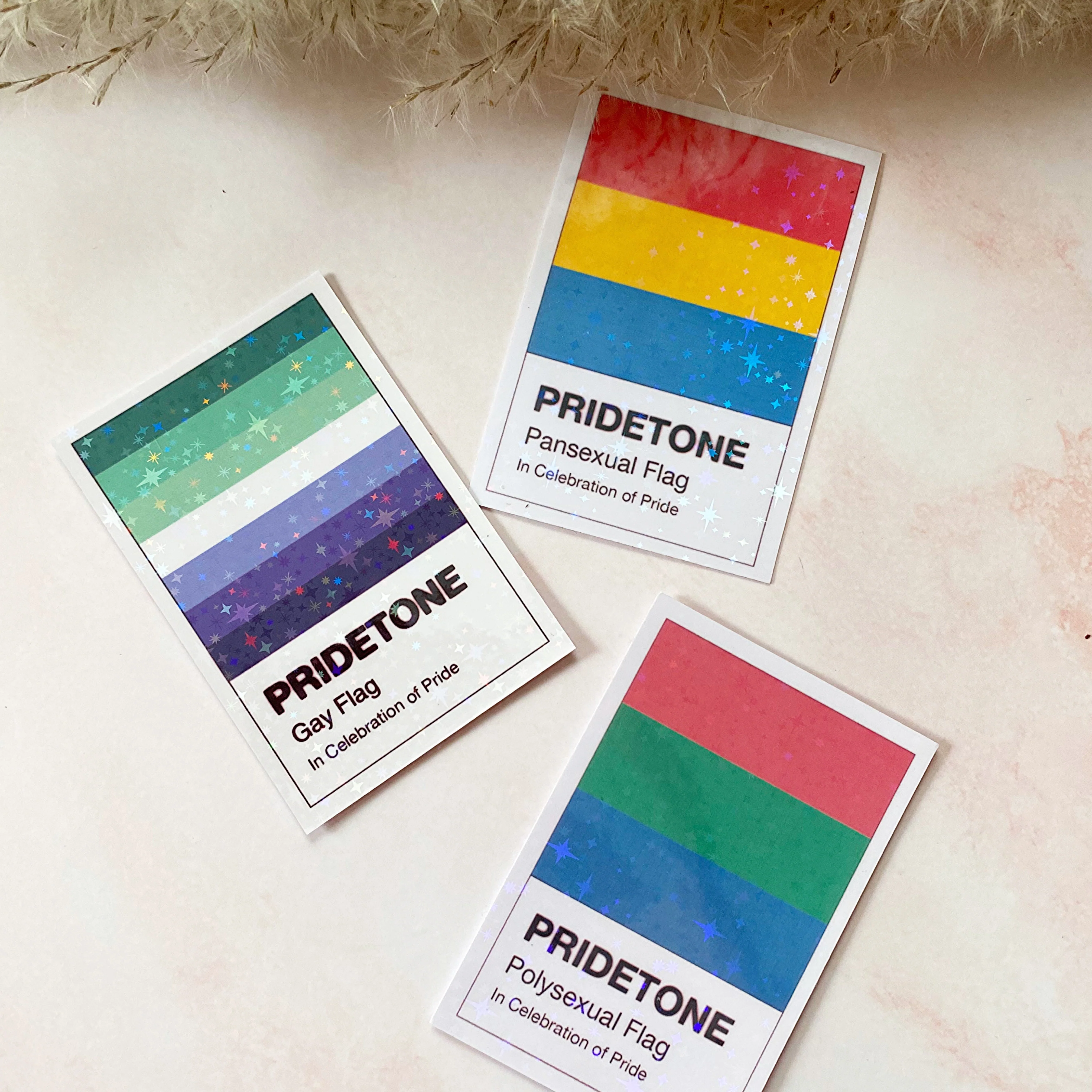Pridetone Polysexual Pride Flag | Pride Sticker - Image 2