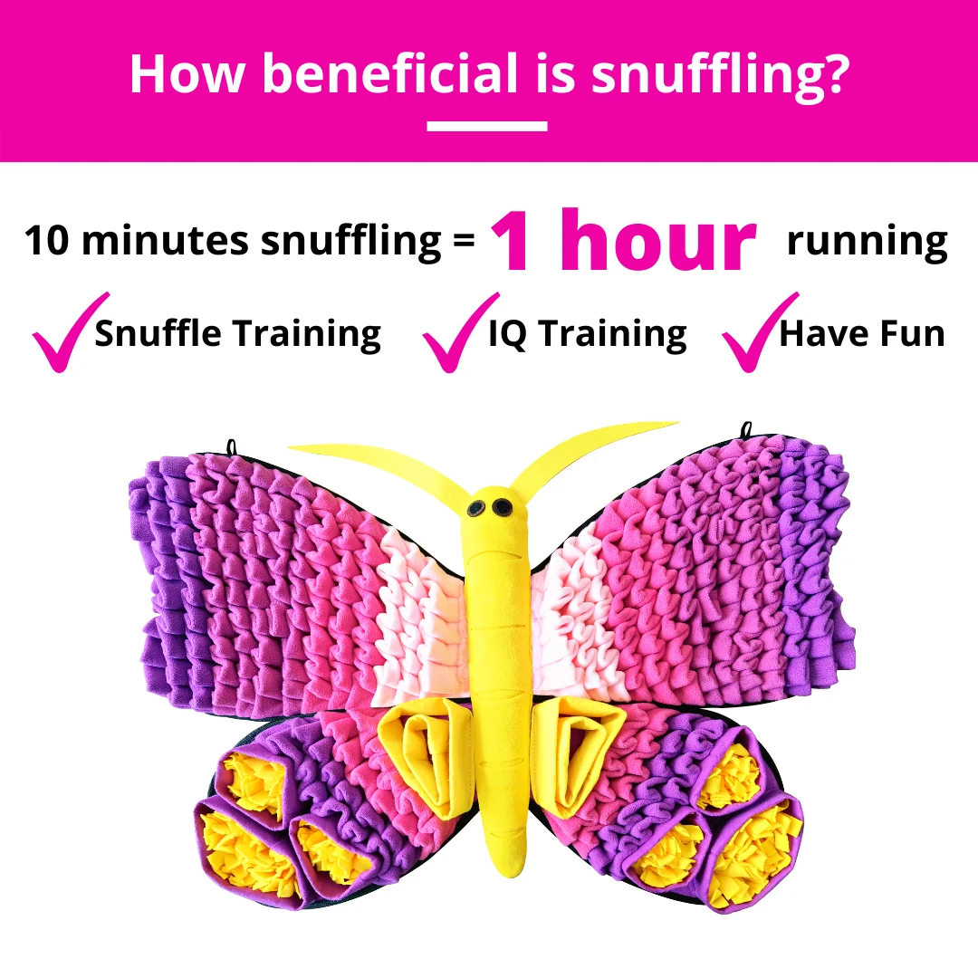 Radiant Butterfly™ Snuffle Mat - Image 3