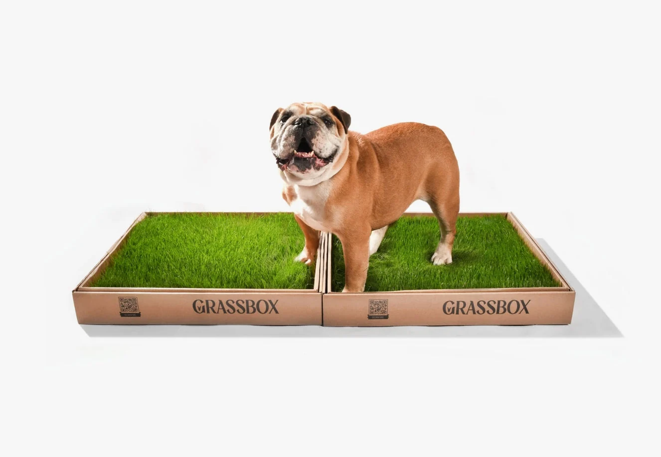 Real GrassBox - Image 3