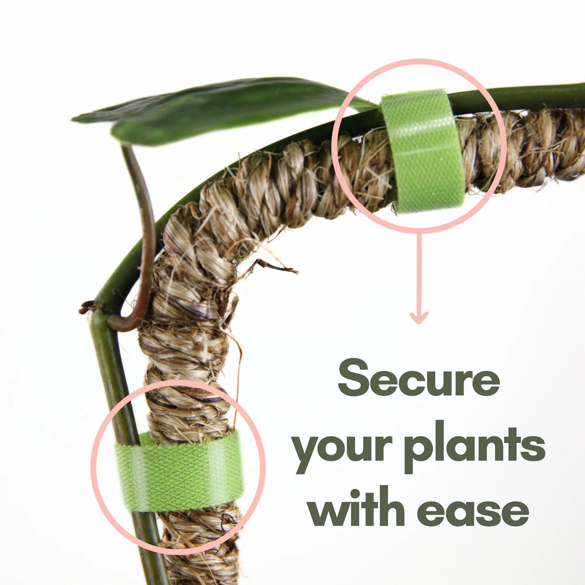 Reusable Plant Tape - Image 2