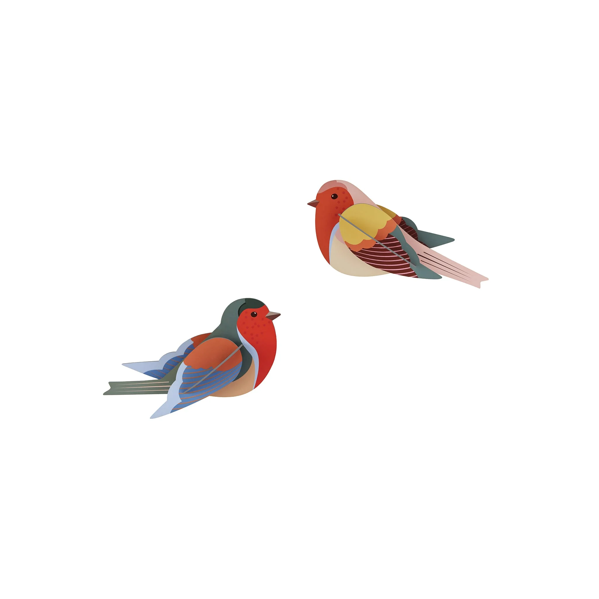 Robins - Image 5