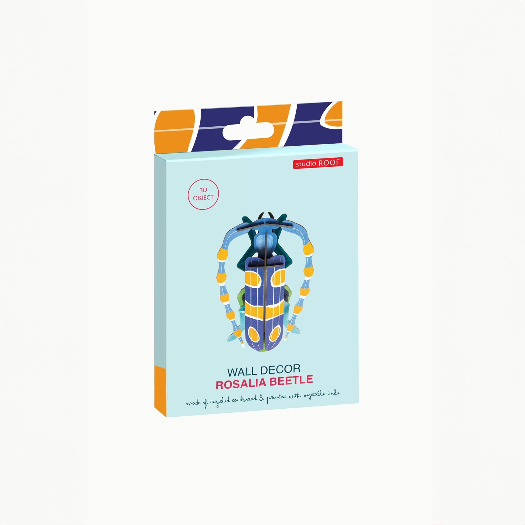 Rosalia Beetle - Image 8