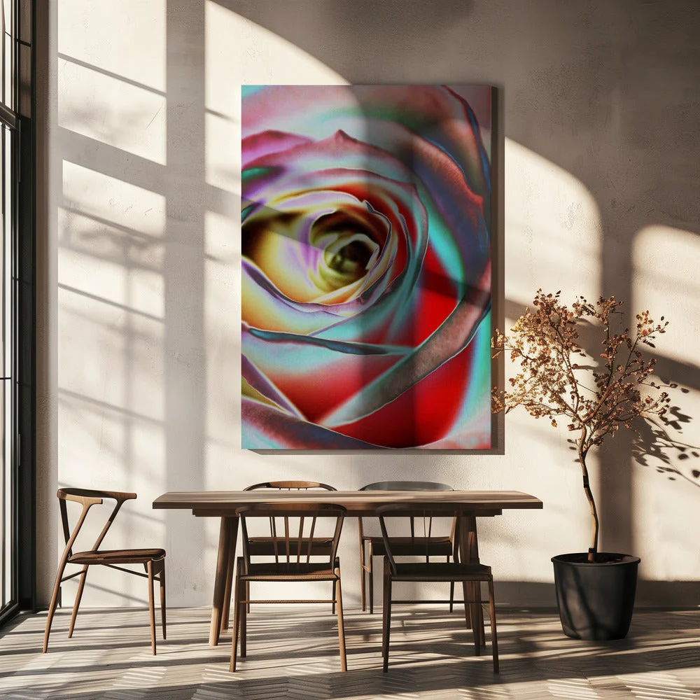 Rose - Image 5