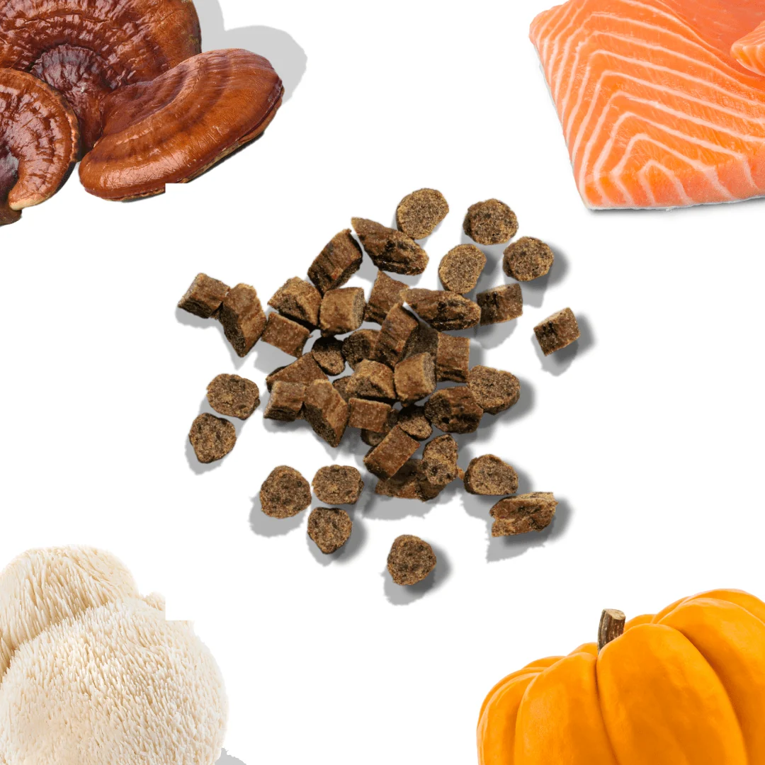 Salmon Mini Training Treats - Image 2