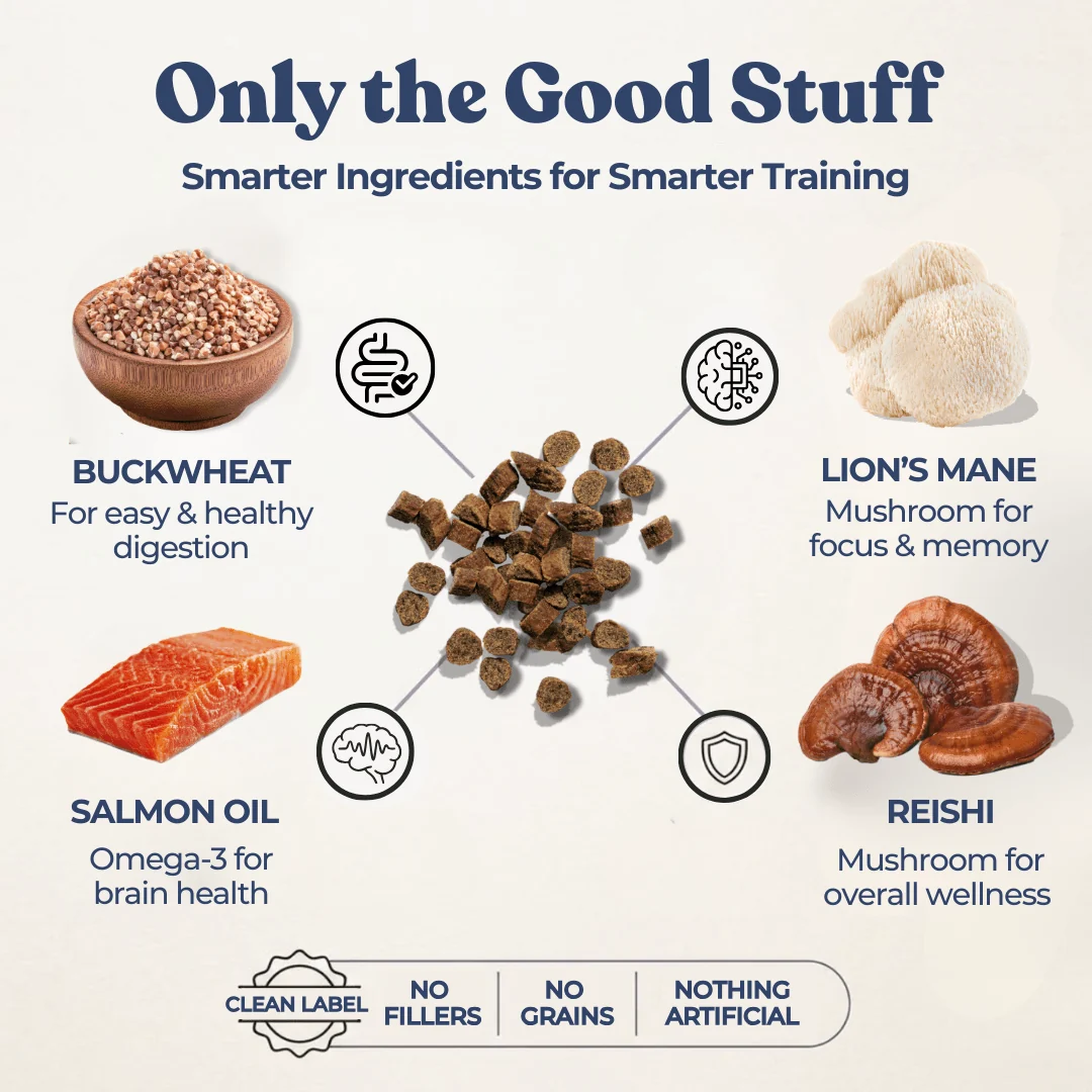 Salmon Mini Training Treats - Image 4