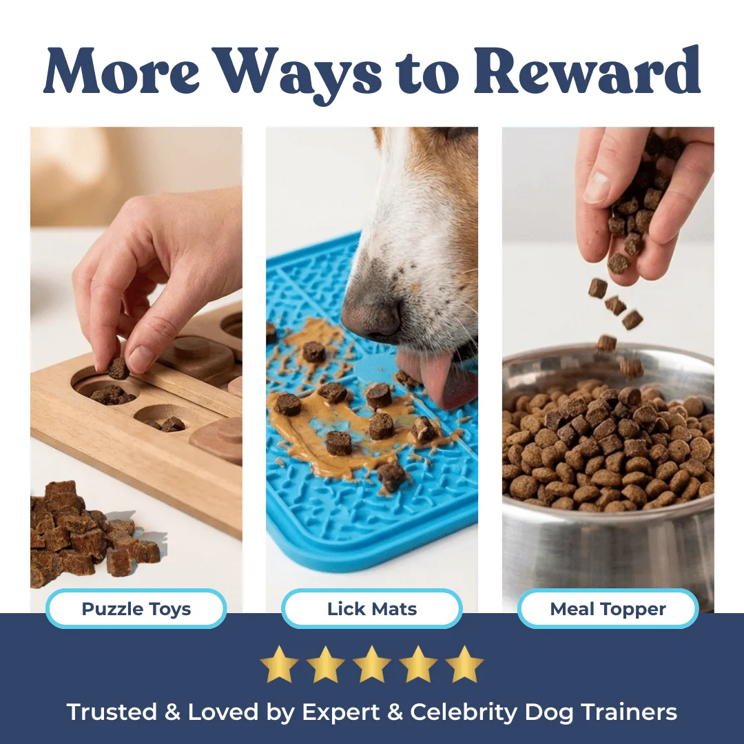 Salmon Mini Training Treats - Image 7