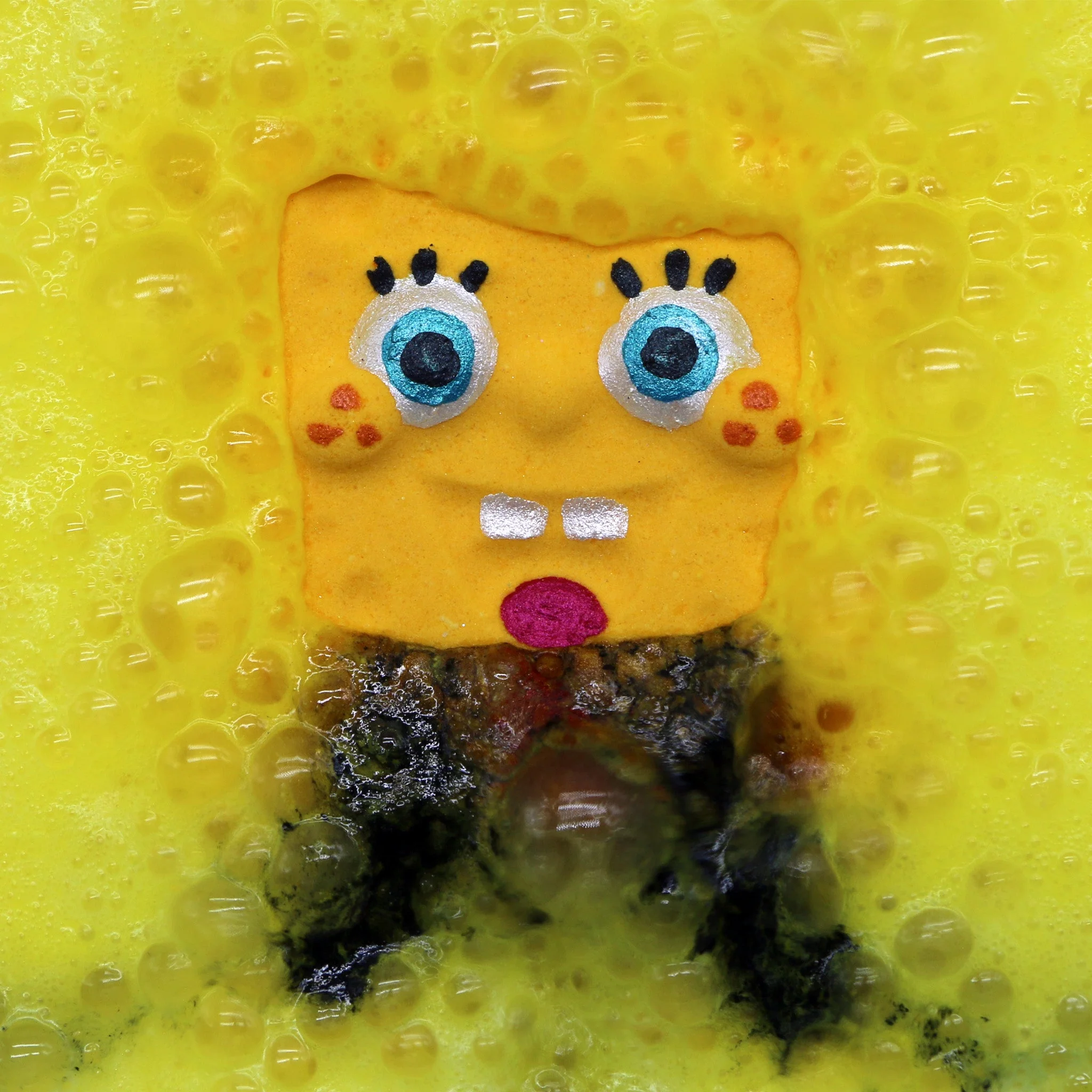 Sea Sponge - Image 2