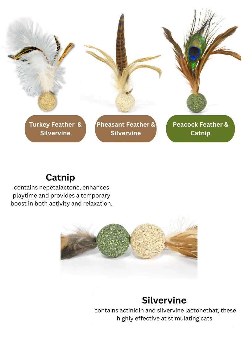 Silvervine / Catnip Birdie - Image 2