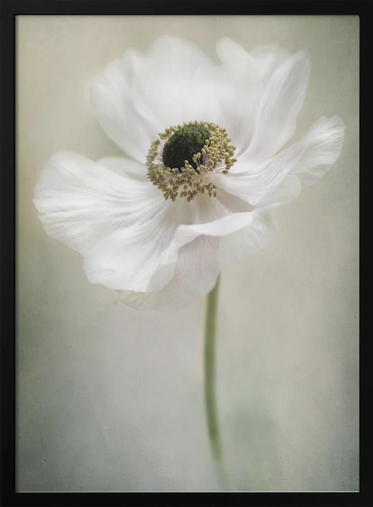 Single White - Image 3
