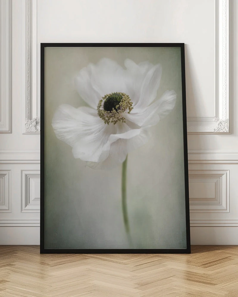 Single White - Image 4