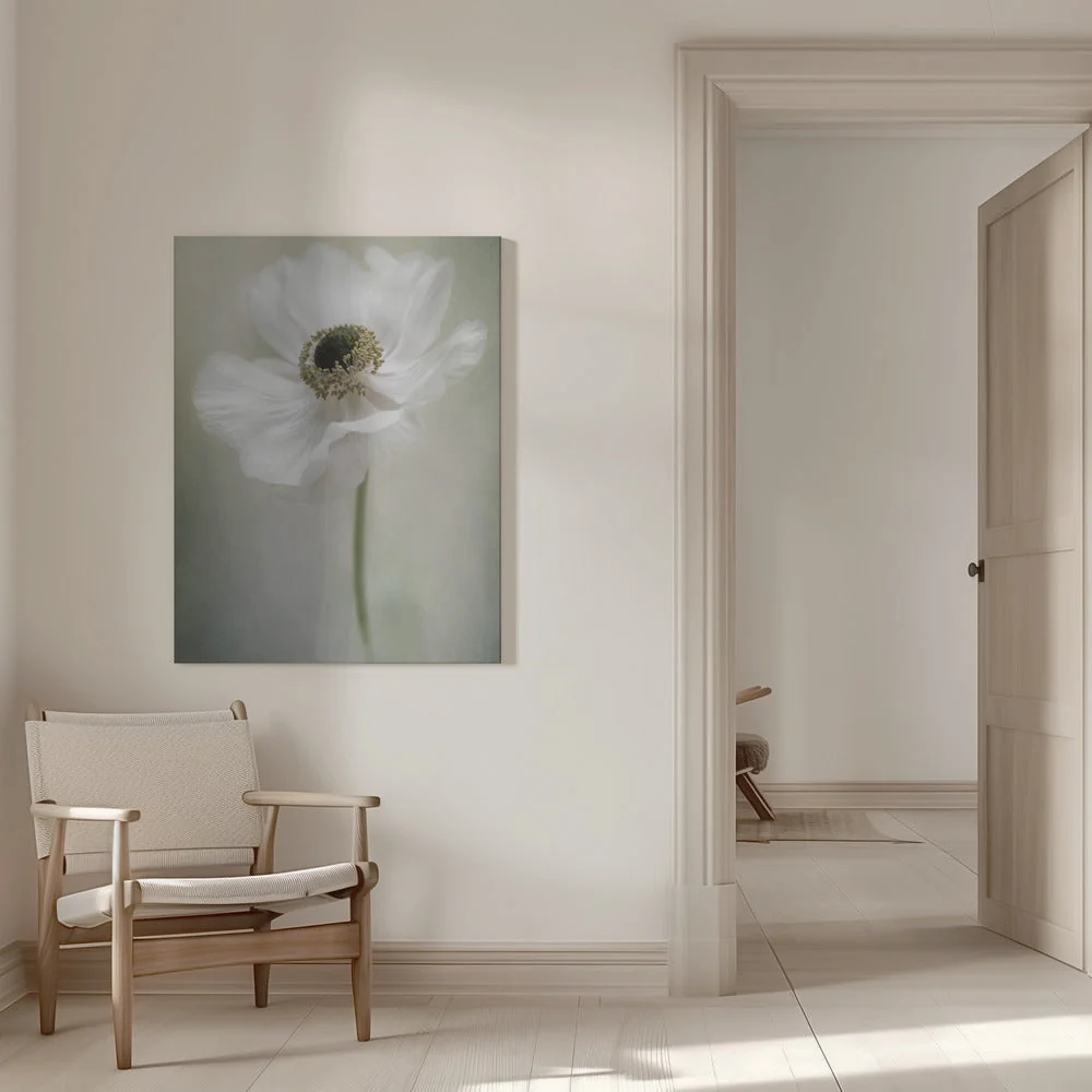 Single White - Image 9