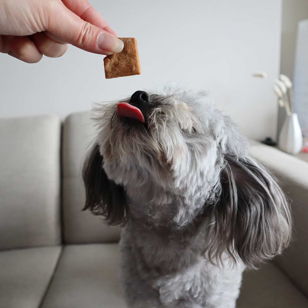 Soft Natural Peanut Training Treats 170g - Image 5