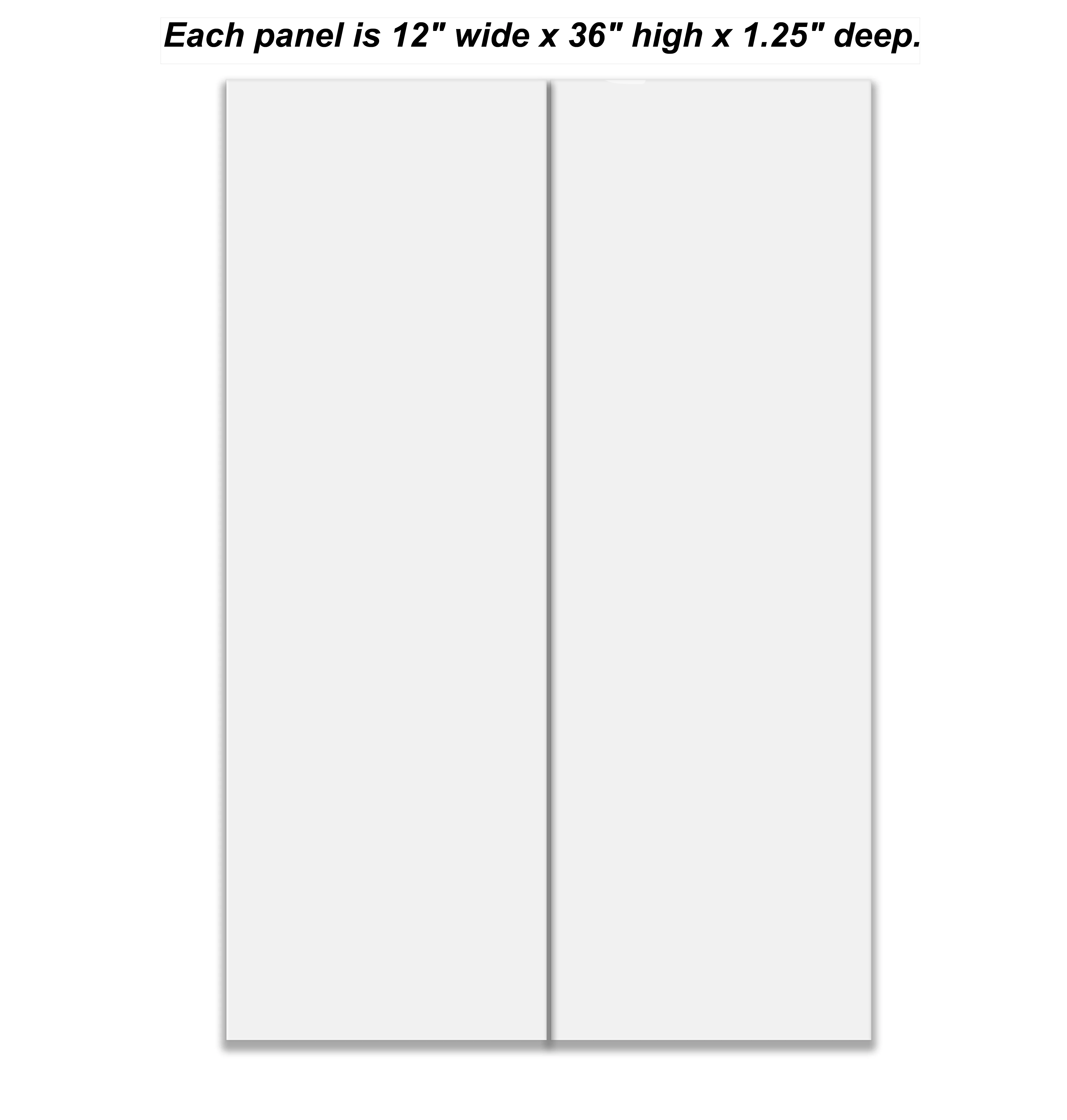Split canvas prints 2 panels 12" x 36"each