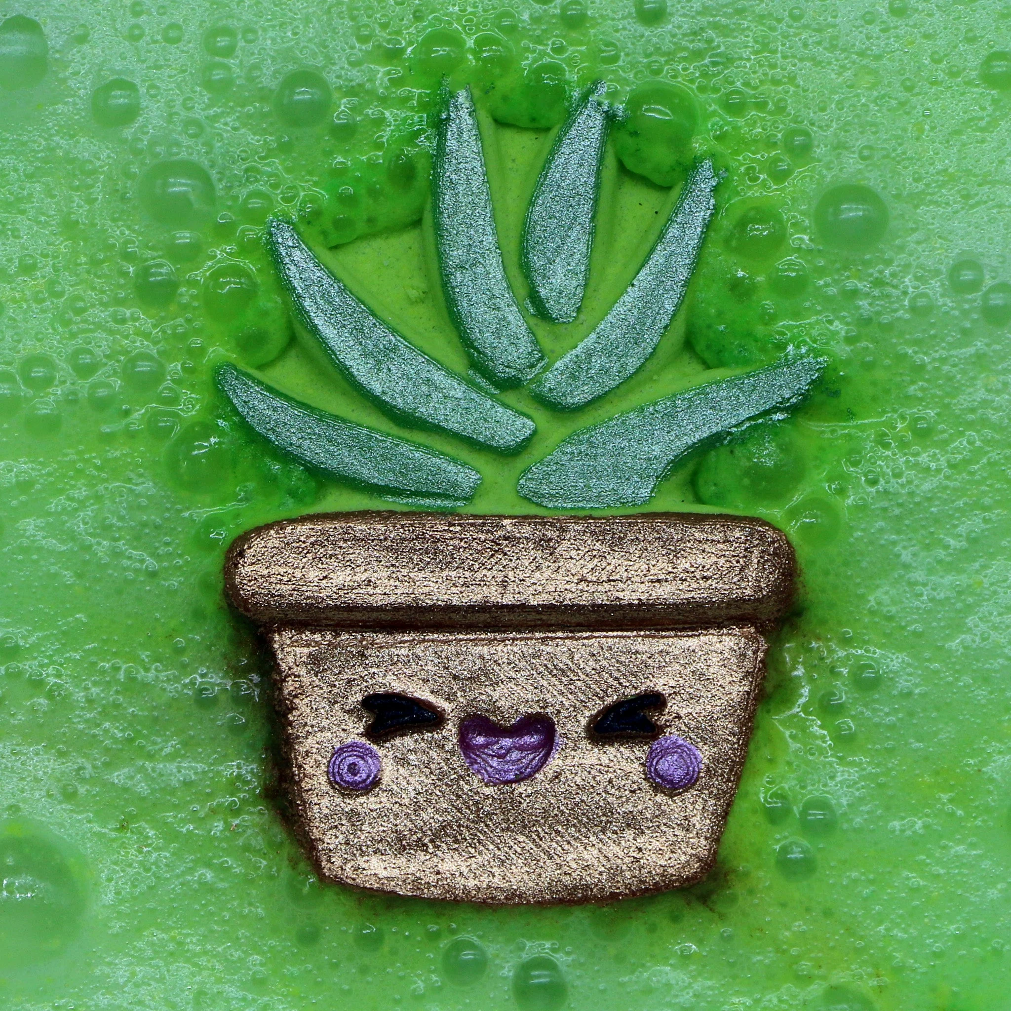 Succulent Plant - Image 2