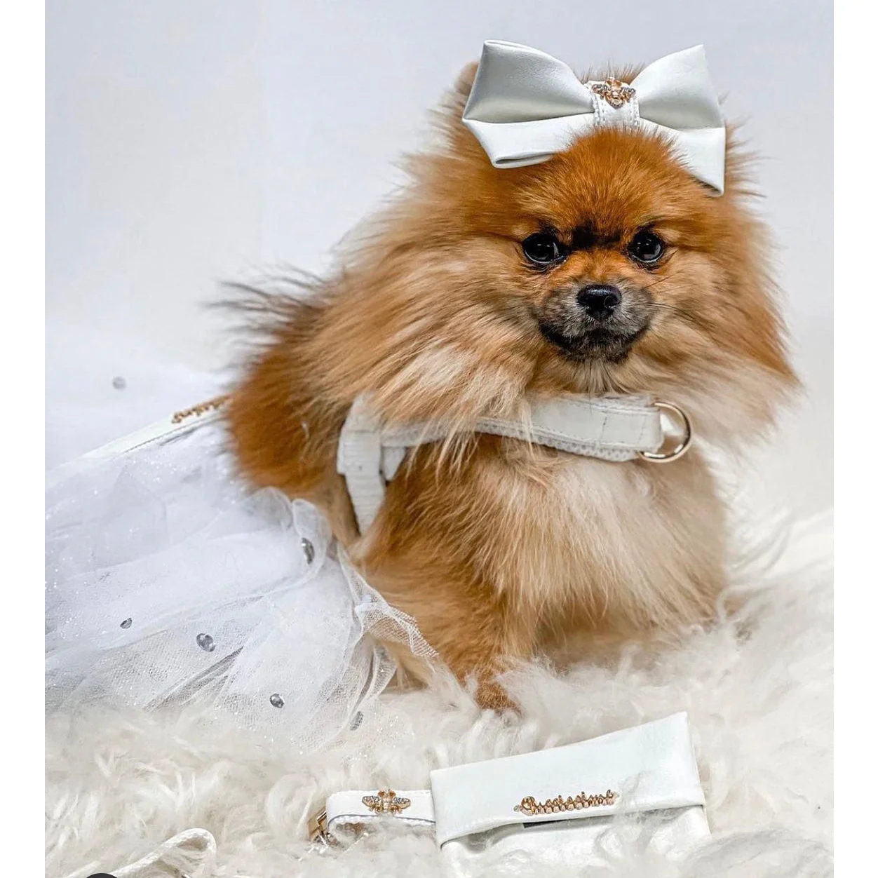 Swan One-Click Dog Harness - Image 2