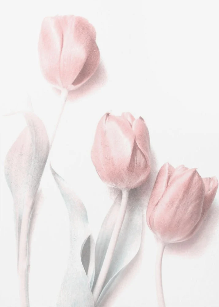Sweet Pink Flower - Image 3