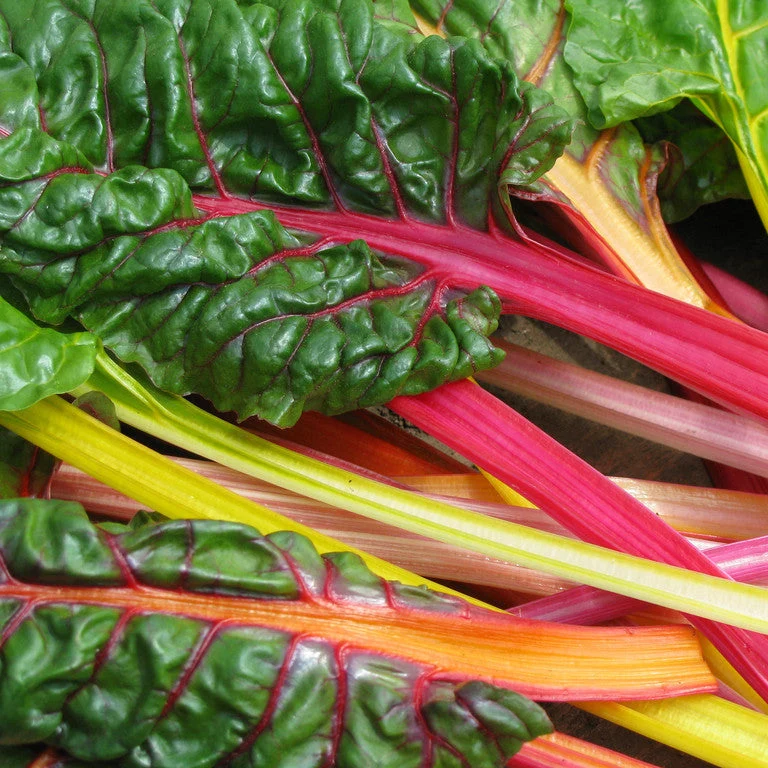 Swiss Chard Mix - Image 2