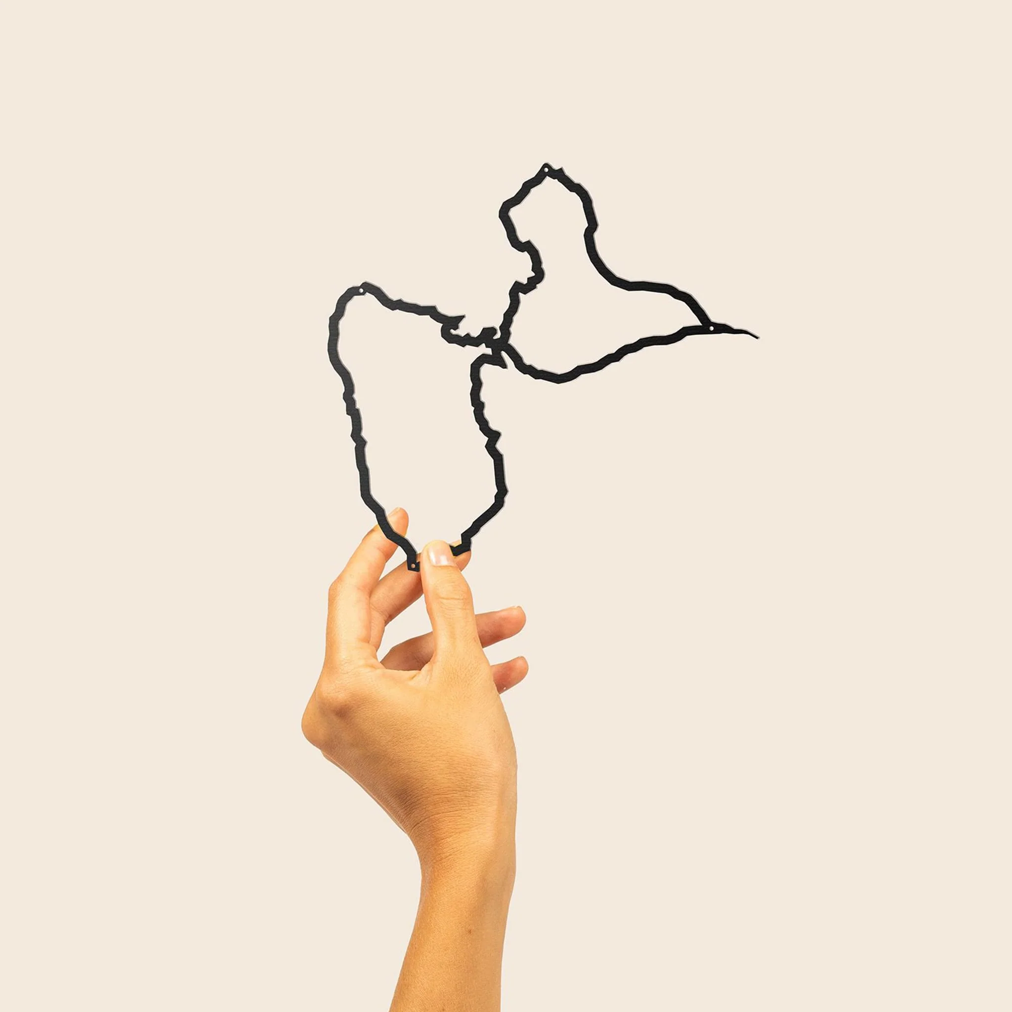 The Line Islands - Image 5