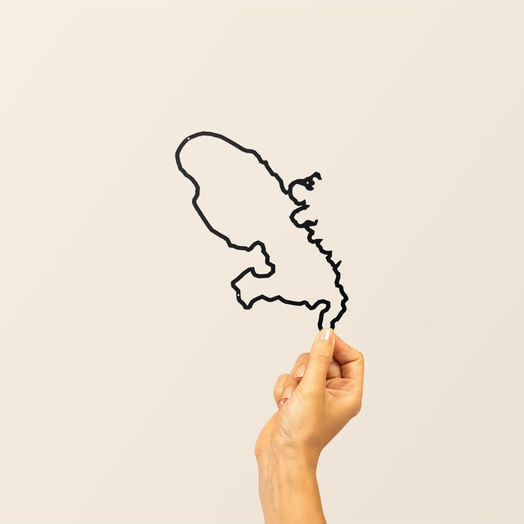 The Line Islands - Image 6