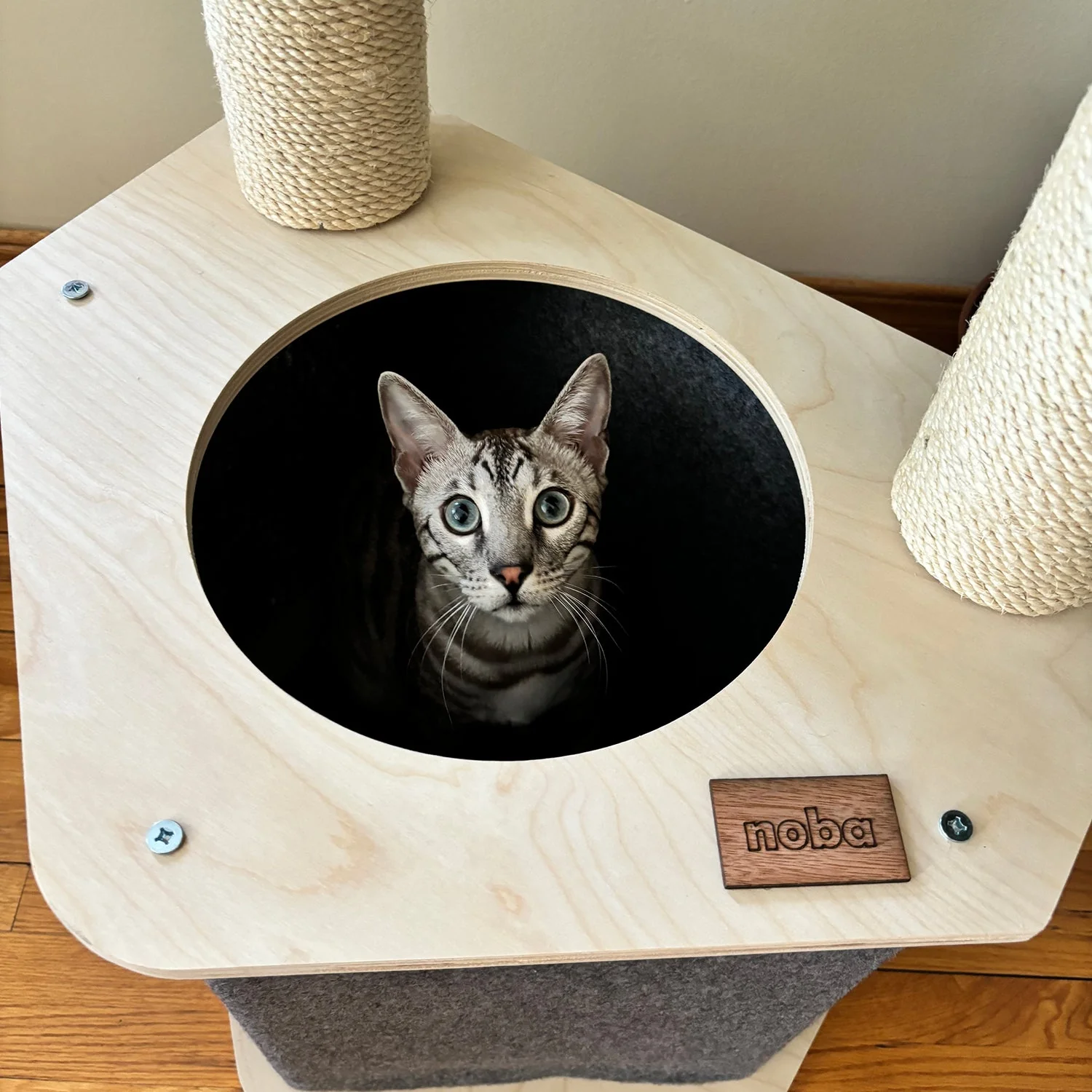 The Lodge Hideout - 2-Level Cat Tree - Image 4