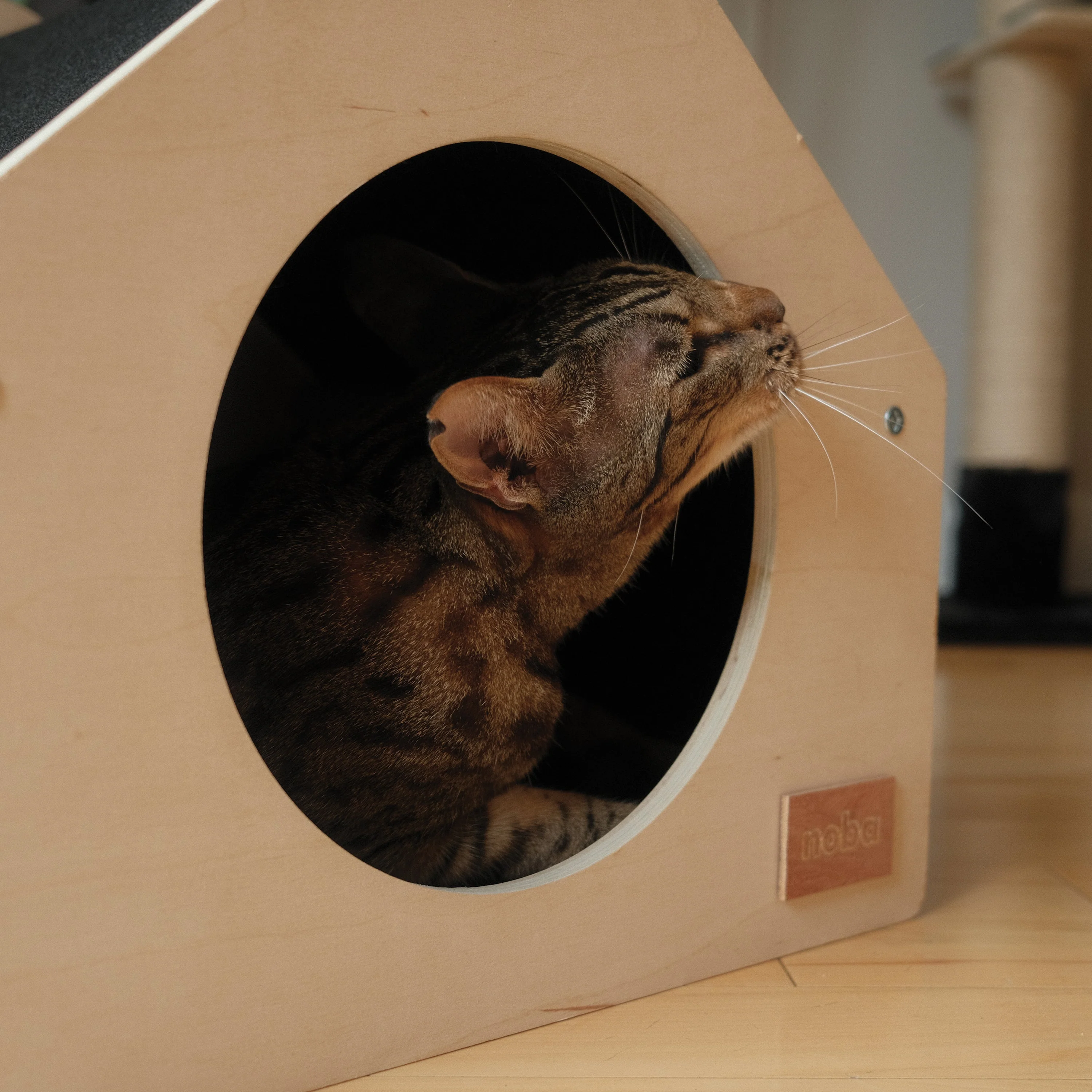 The Urban Condo Pet House - Image 3