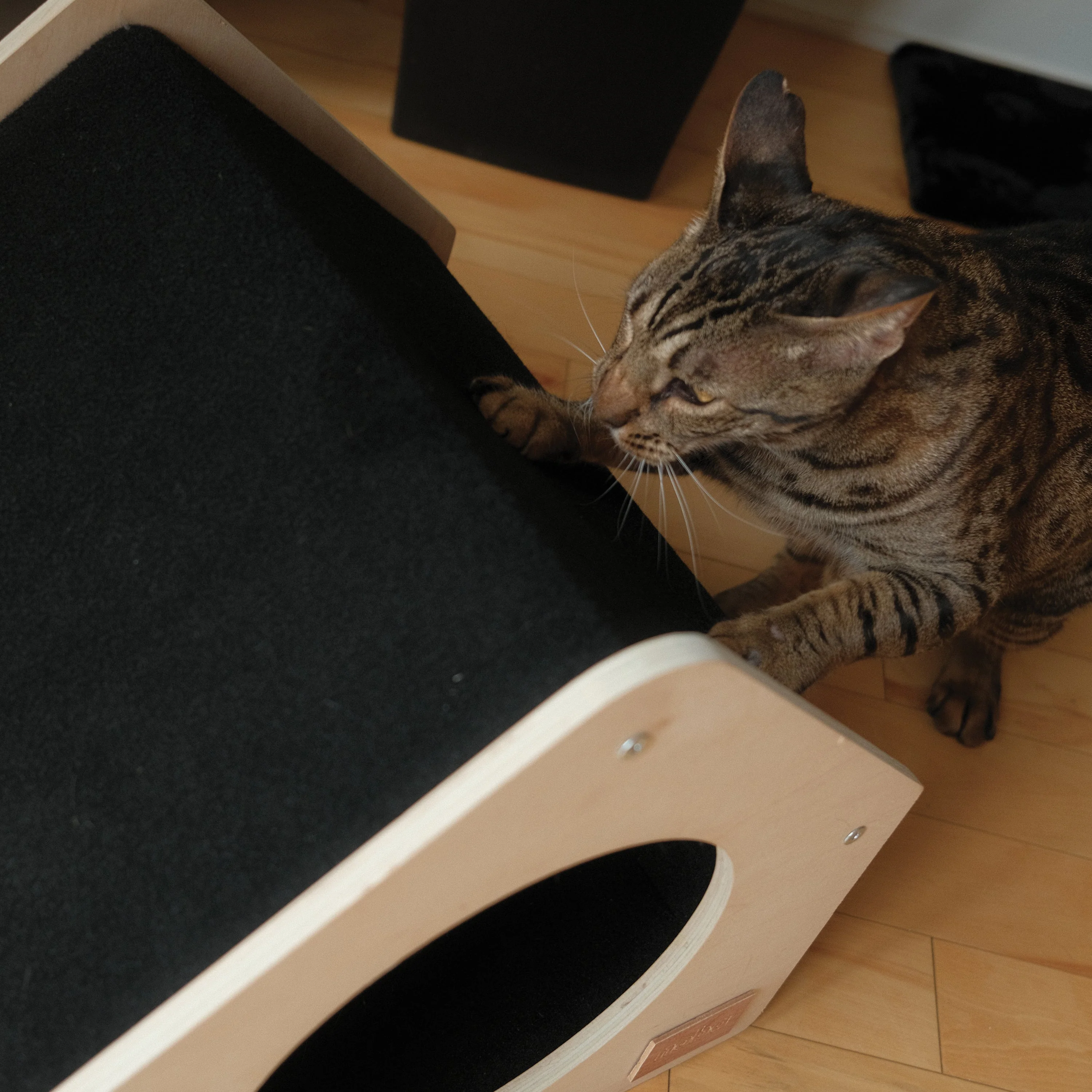 The Urban Condo Pet House - Image 8